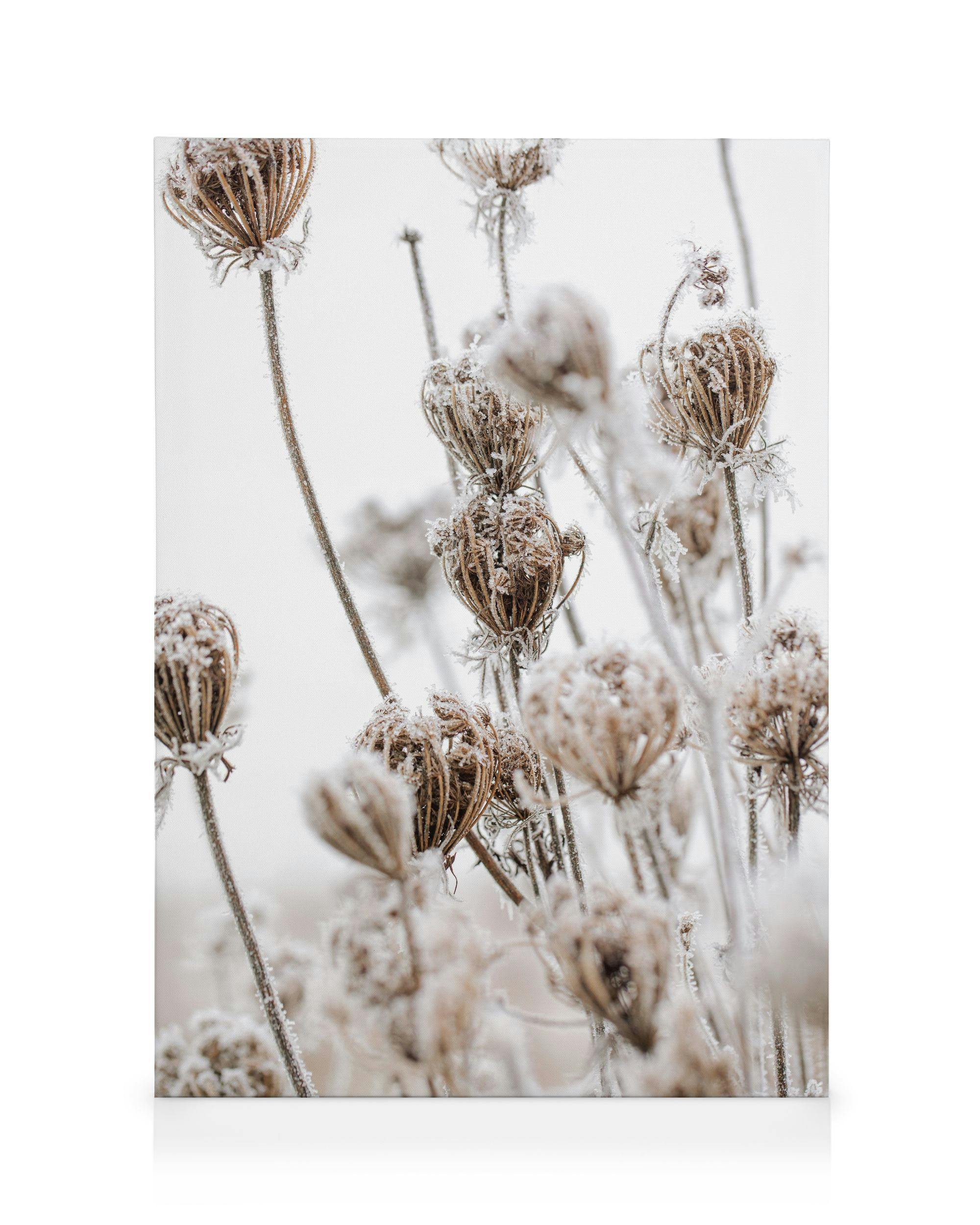 Frozen Floral Canvas 0