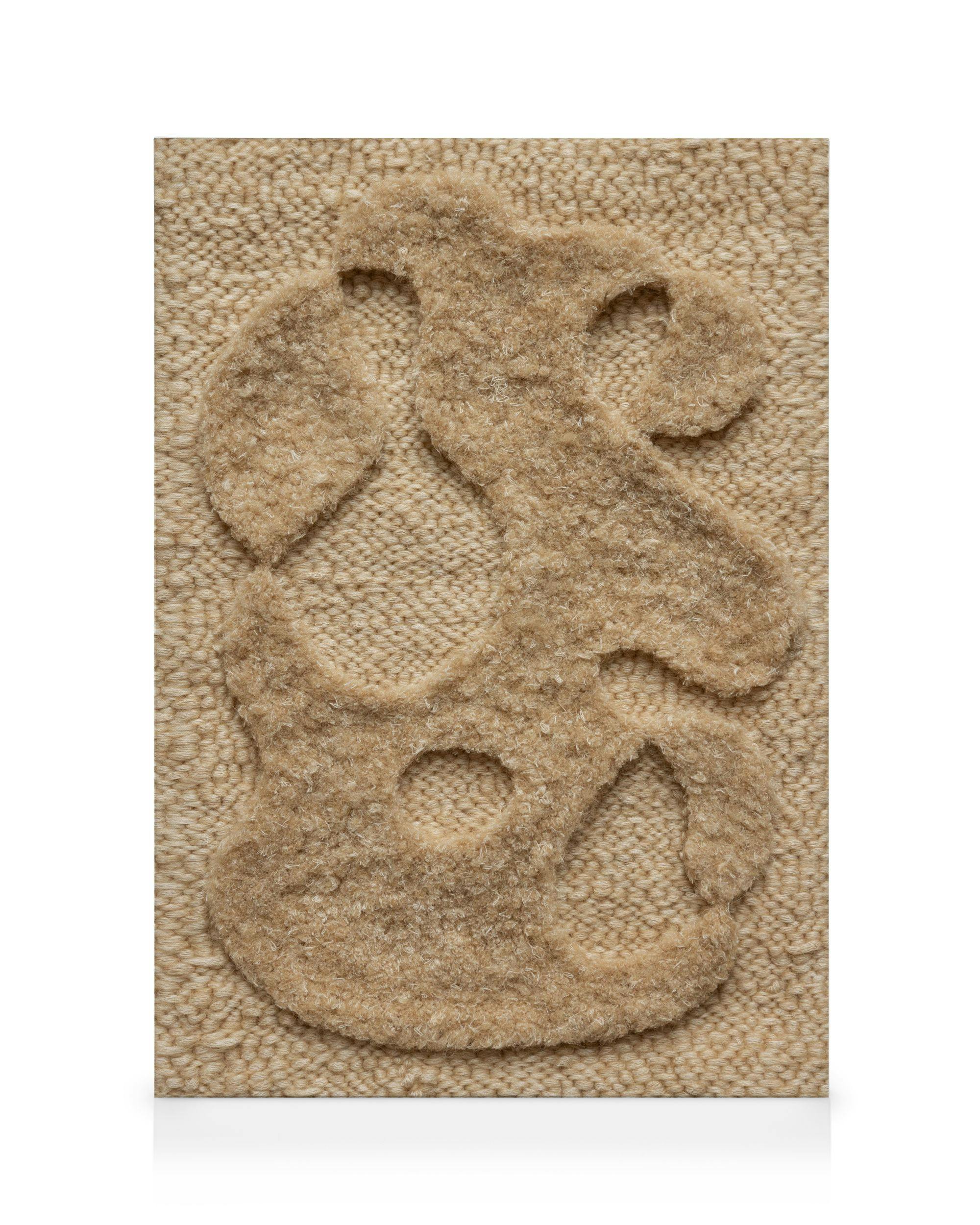 Lienzo abstracto texturizado en tonos beige con formas orgánicas peludas en relieve sobre un fondo tejido.