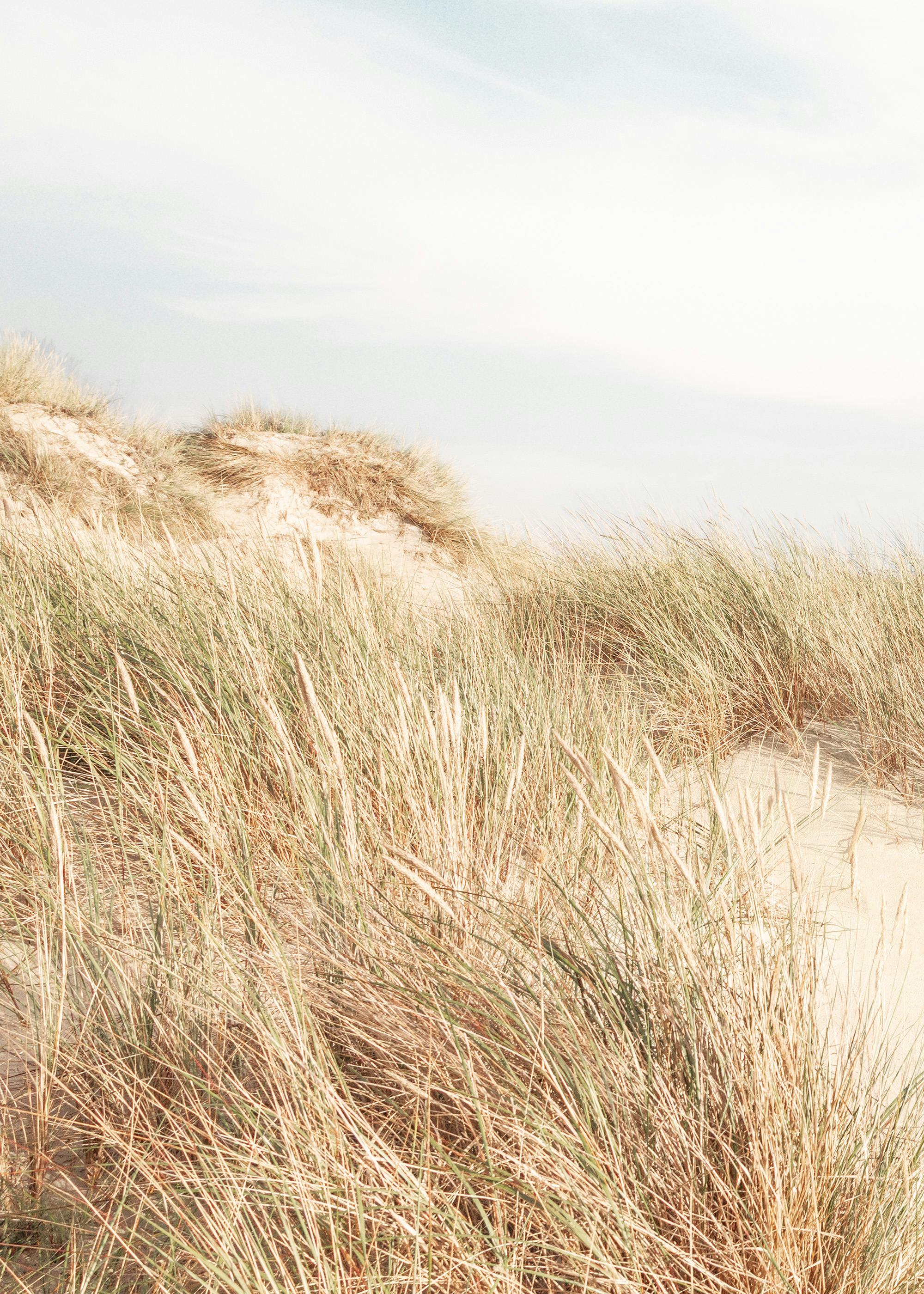 Shorelines No1 Print 0