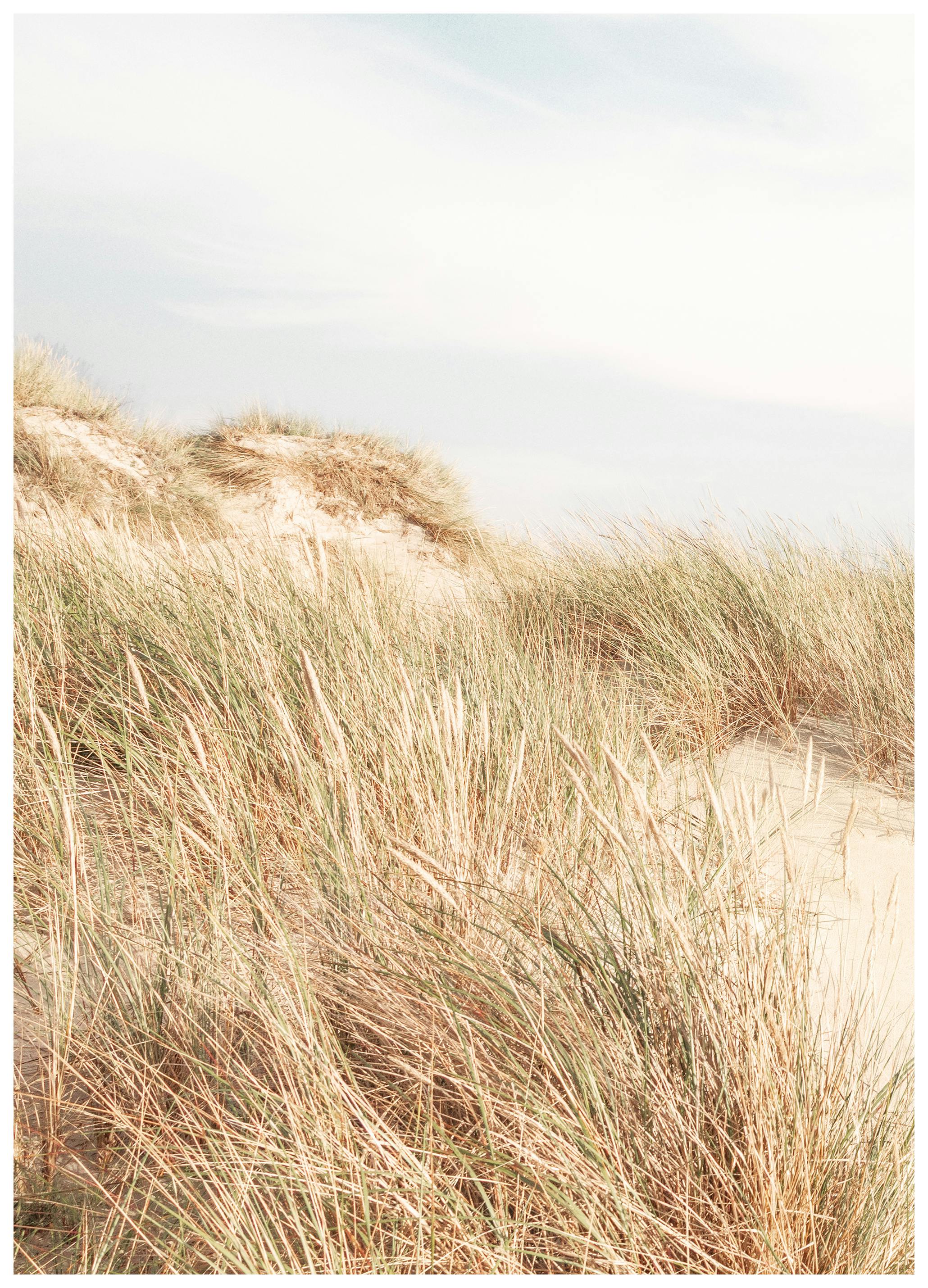 Shorelines No1 Affiche (50x70 cm)  Nature