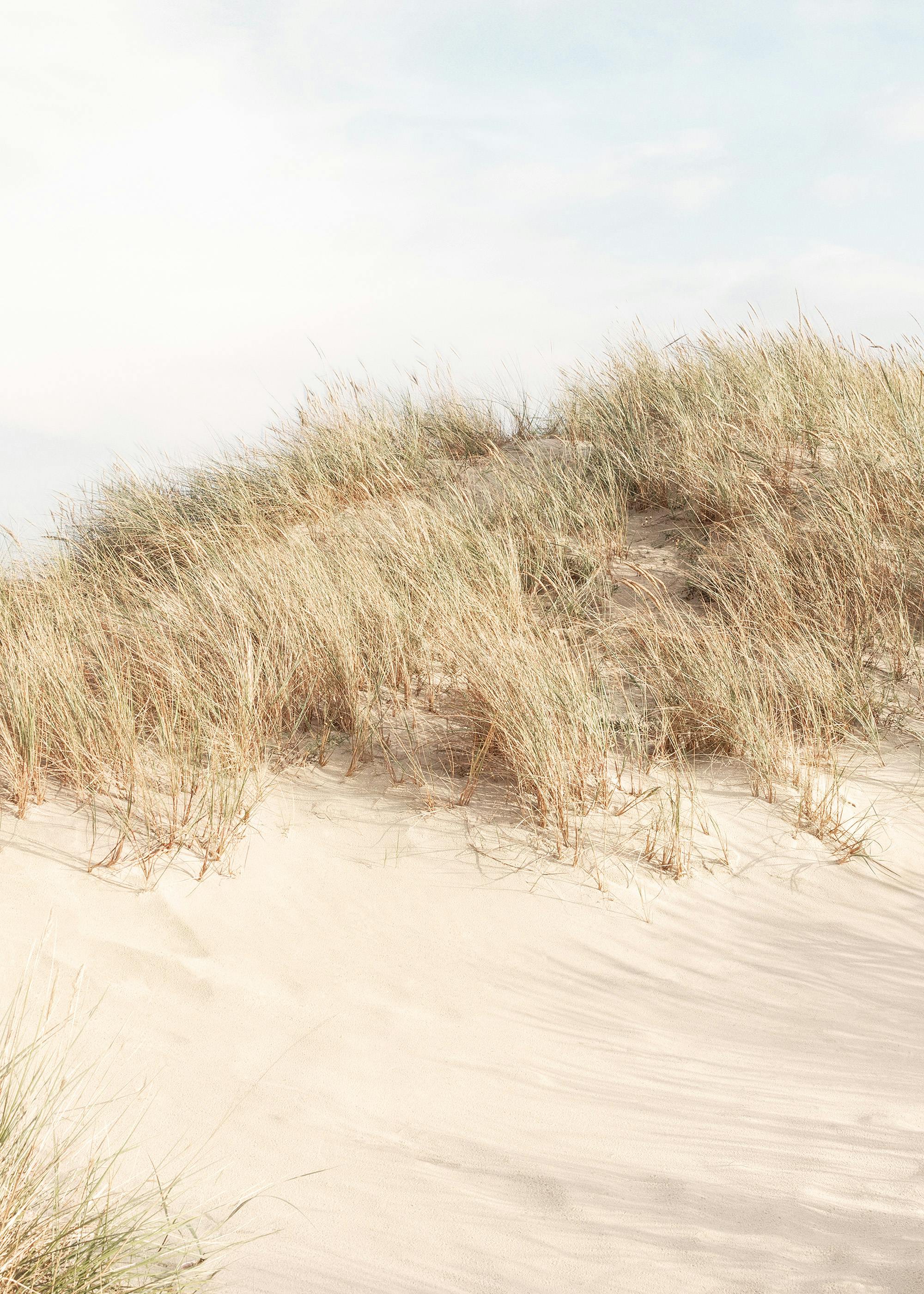 Shorelines No2 Poster 0