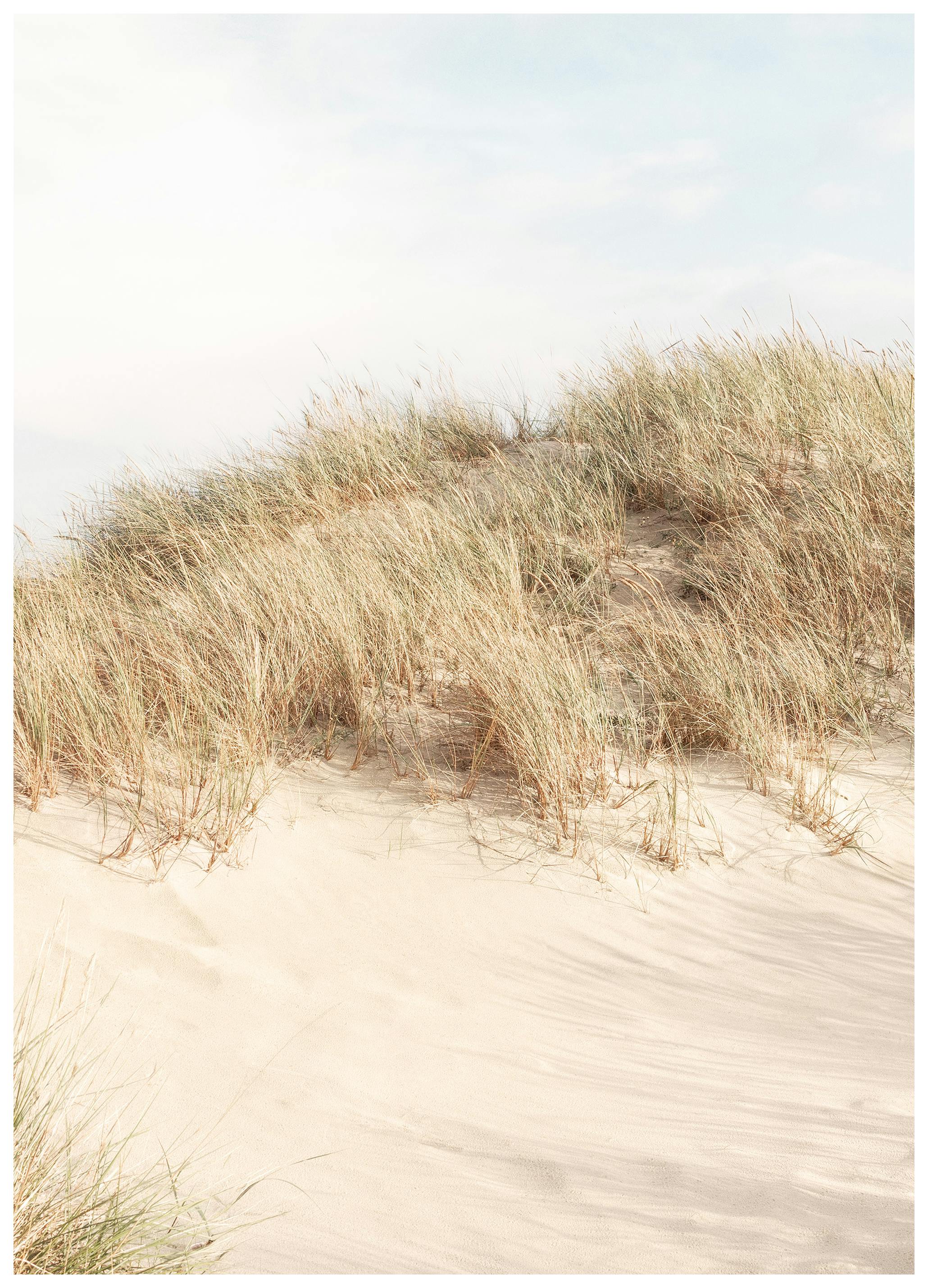 Shorelines No2 Plakat (50x70 cm)-Plakaty