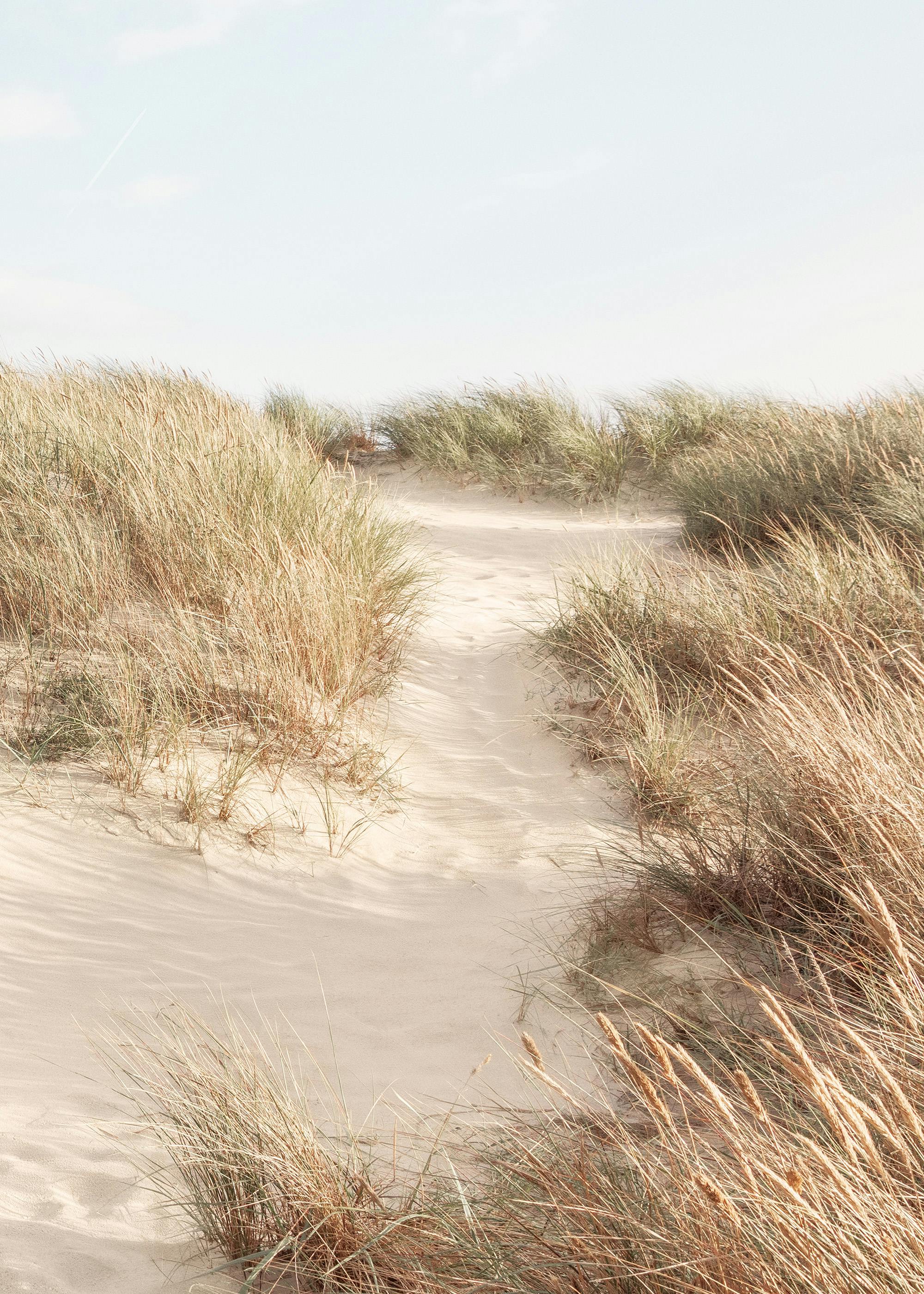 Shorelines No3 Poster 0