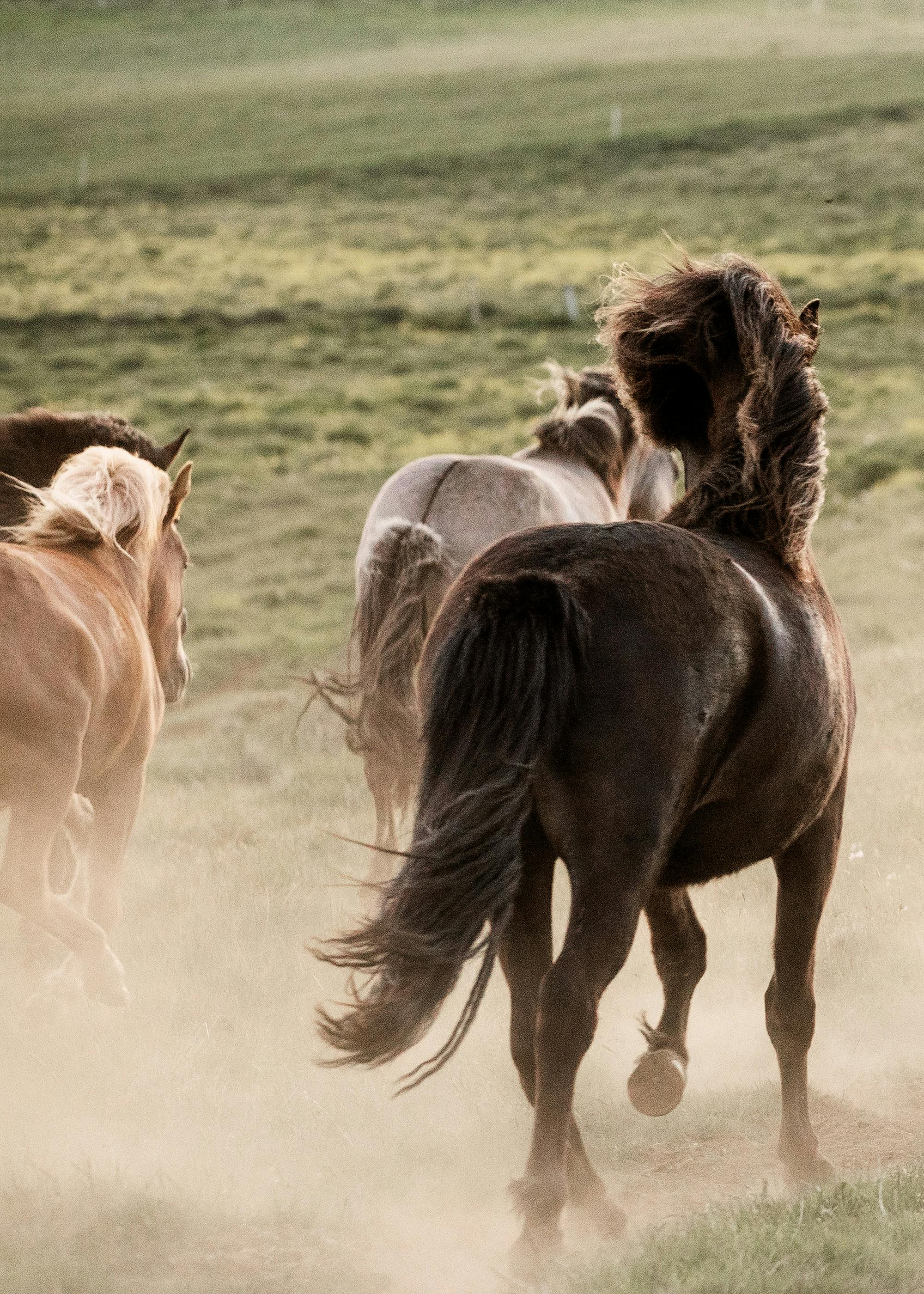 In Motion No1 Poster 0