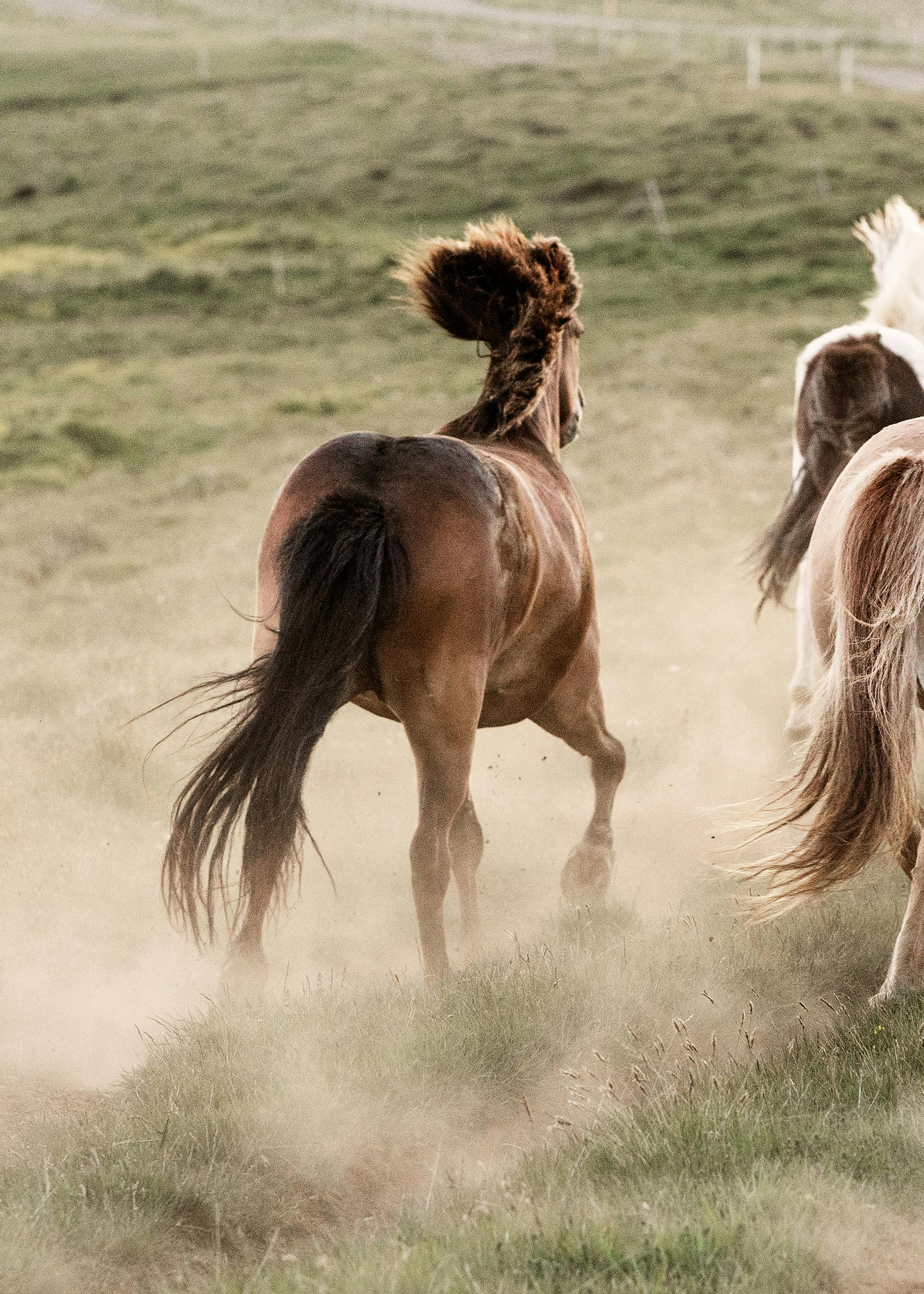 In Motion No2 Affiche 0