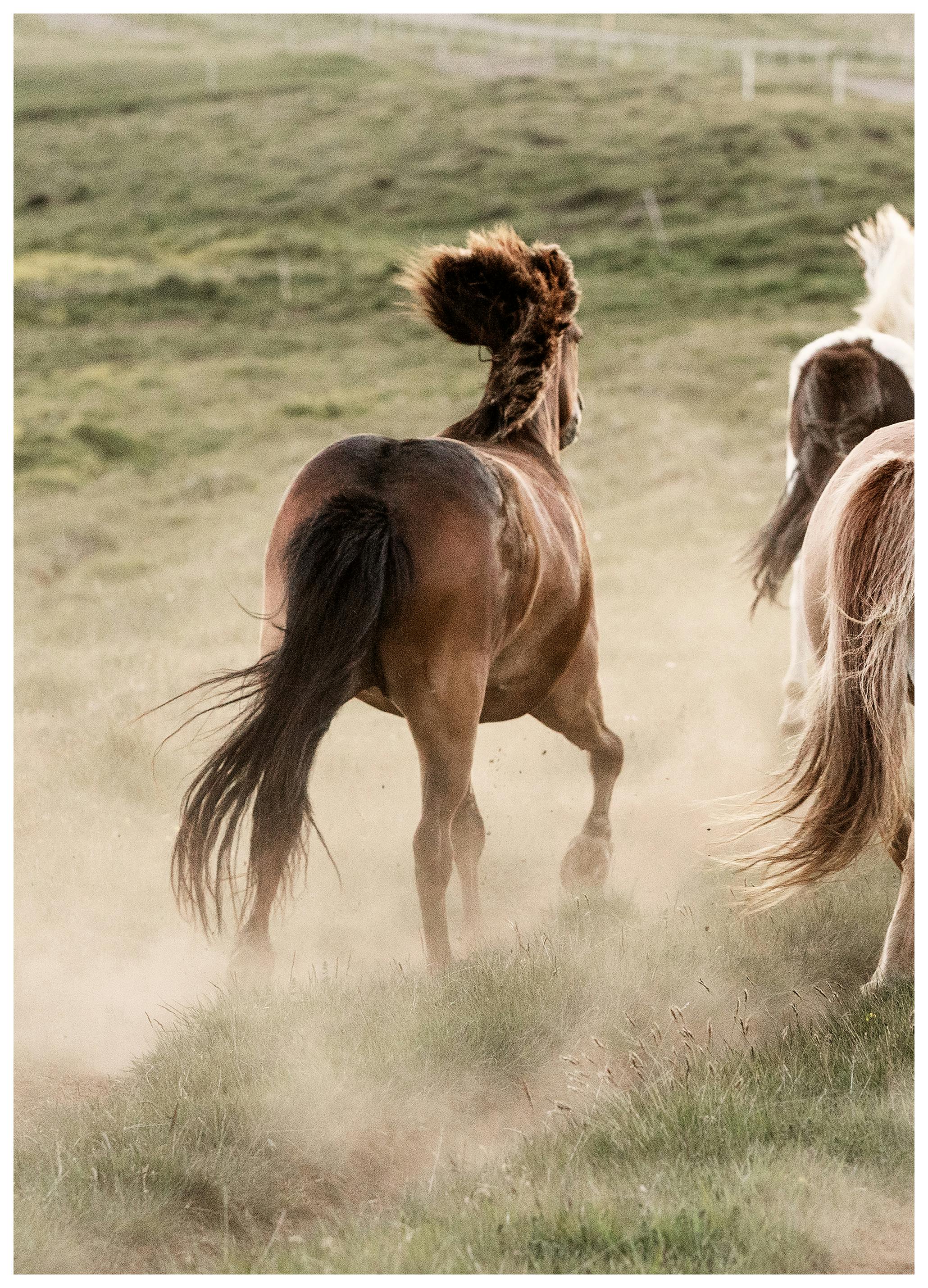 In Motion No2 Print (50x70 cm)