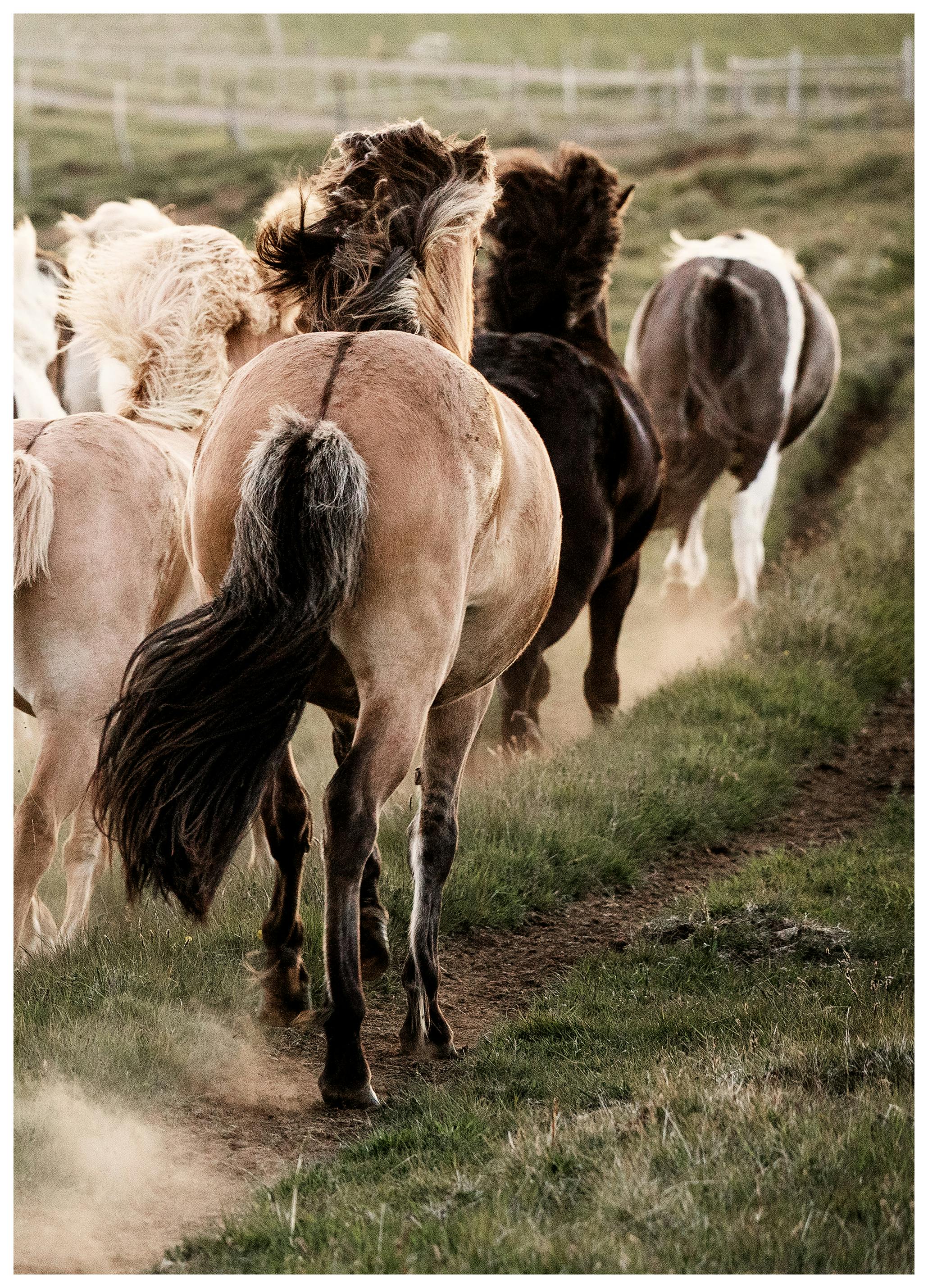 In Motion No3 Poster (30x40 cm)