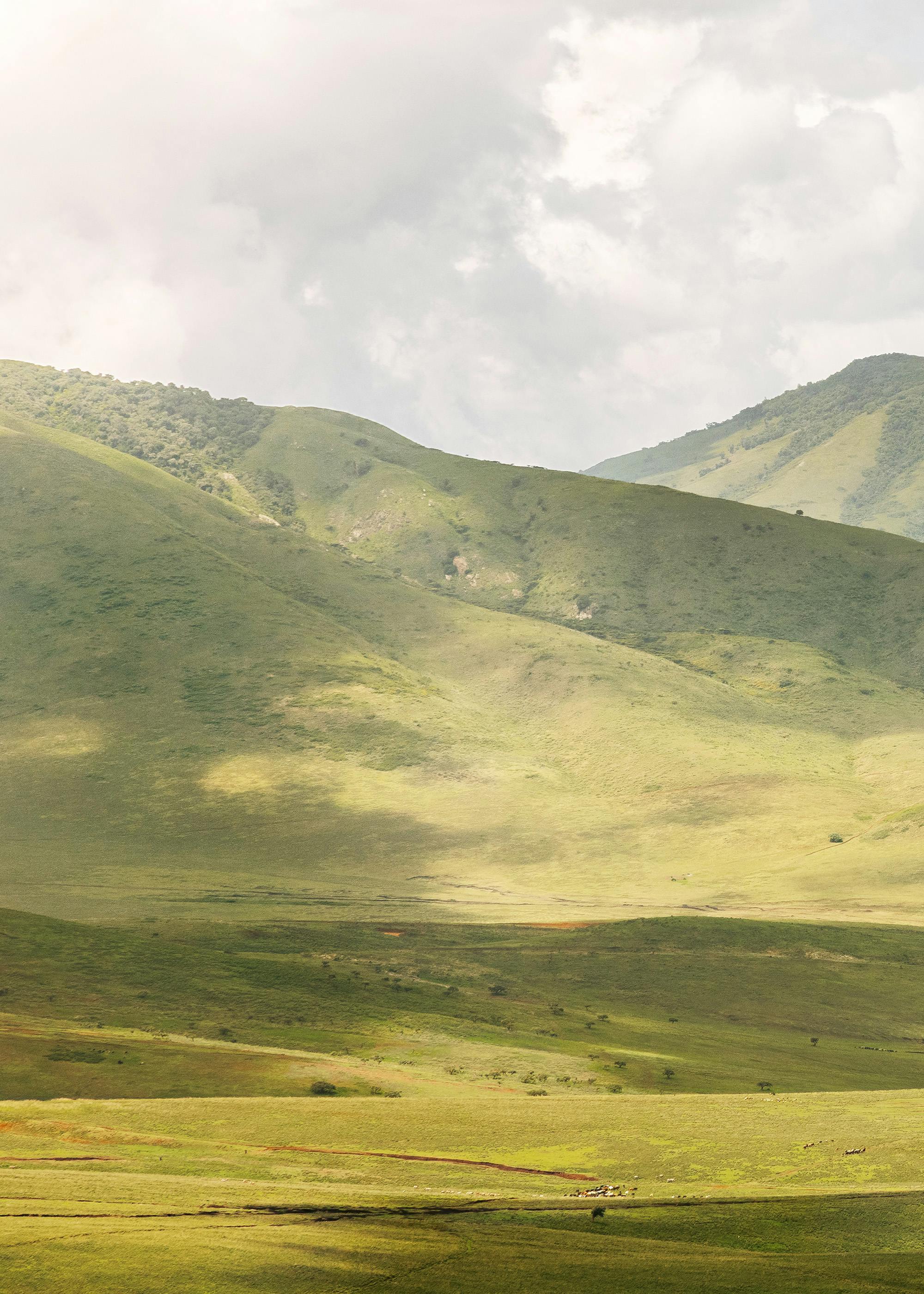 Highlands No1 Poster 0