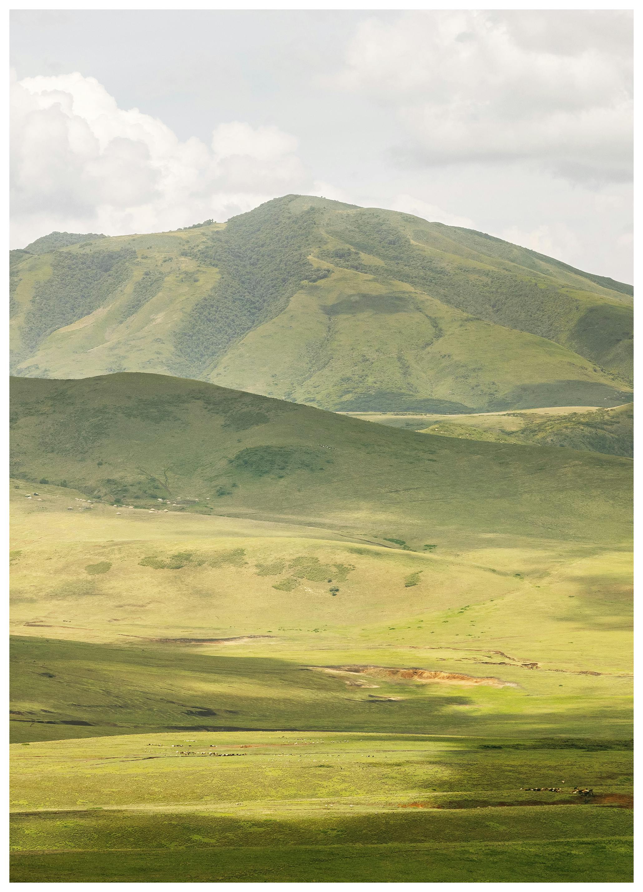 Highlands No2 Affiche (50x70 cm)  Nature