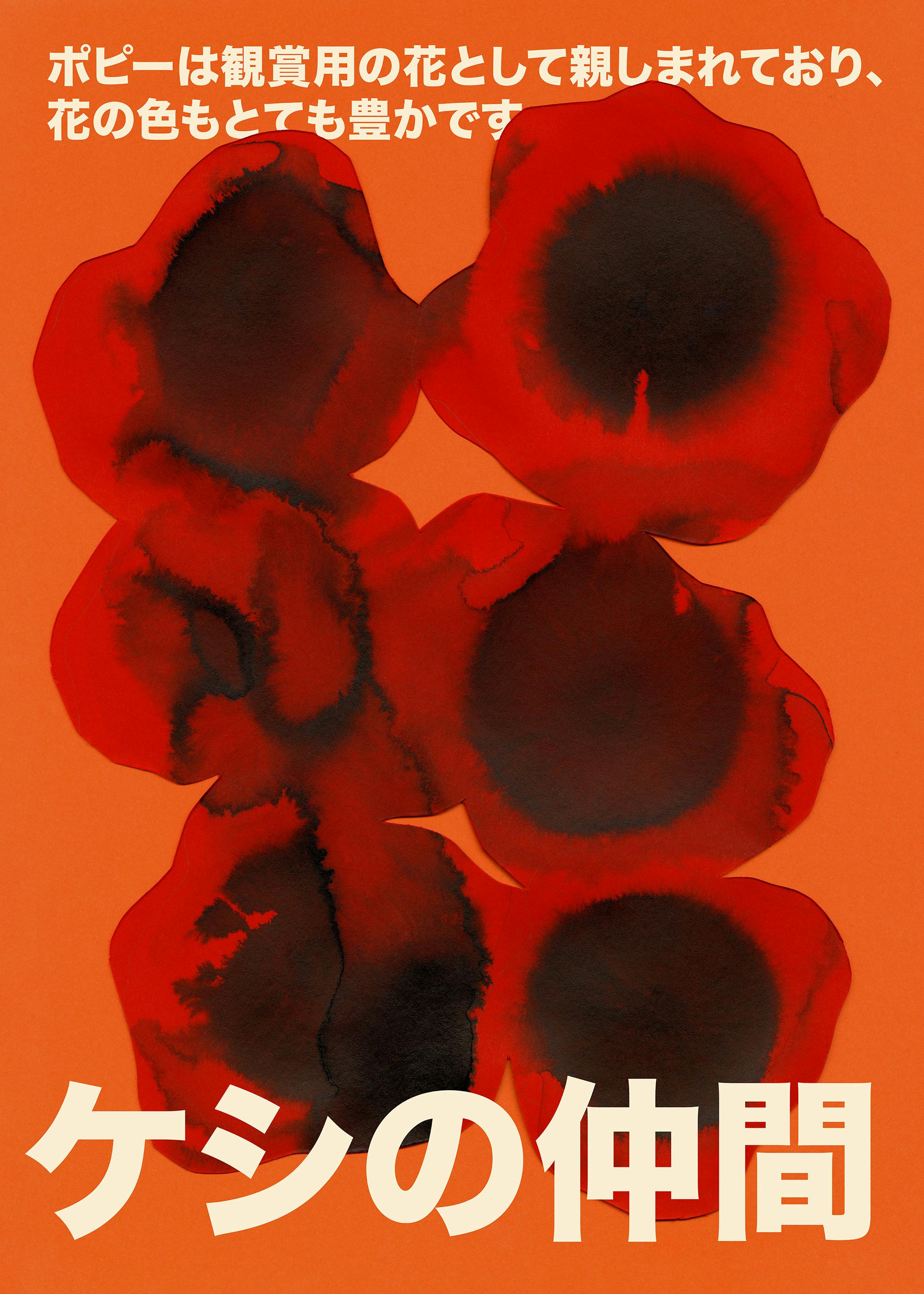 Paper Poppies Plakat 0