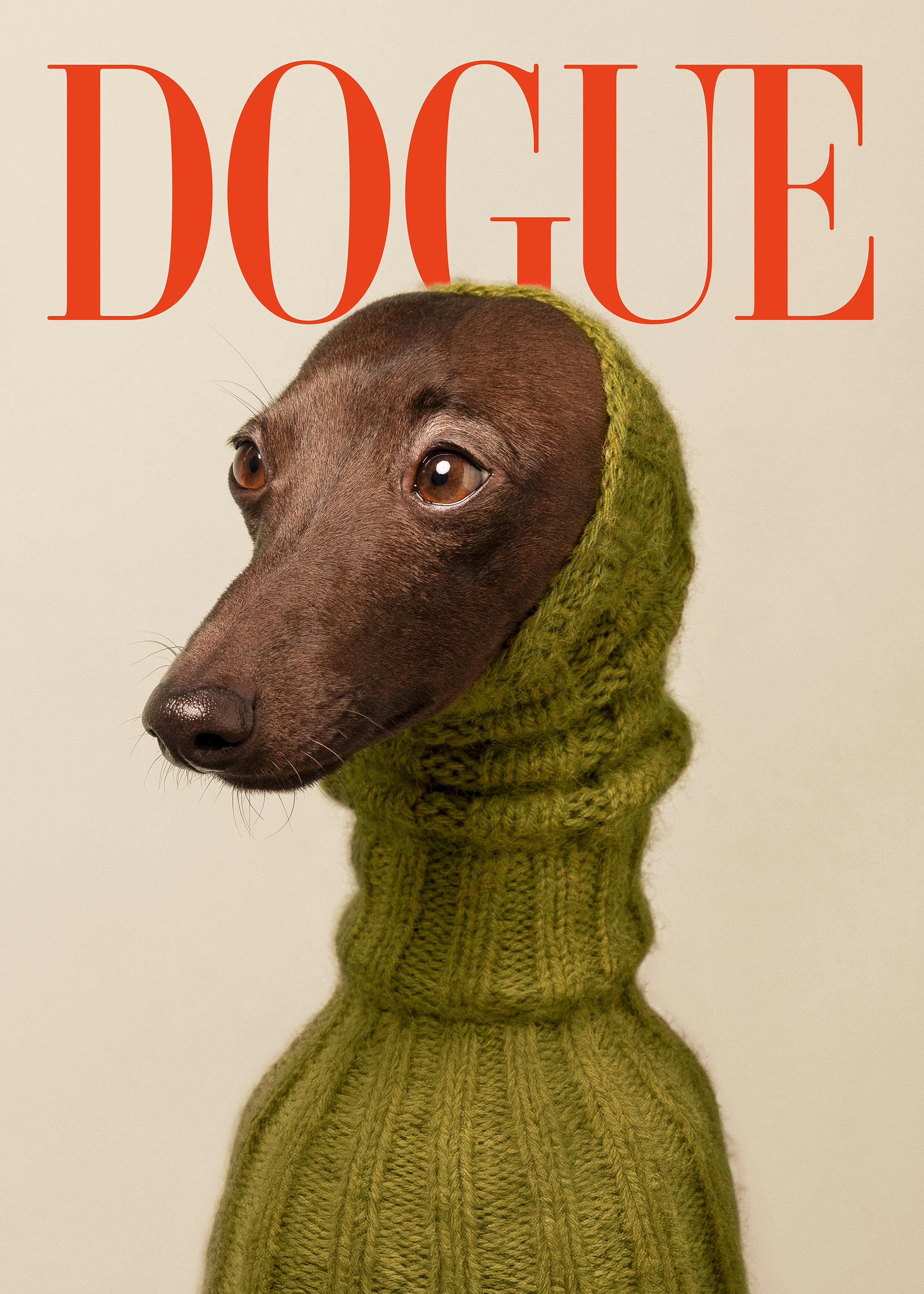 Dogue No2 Plakat 0
