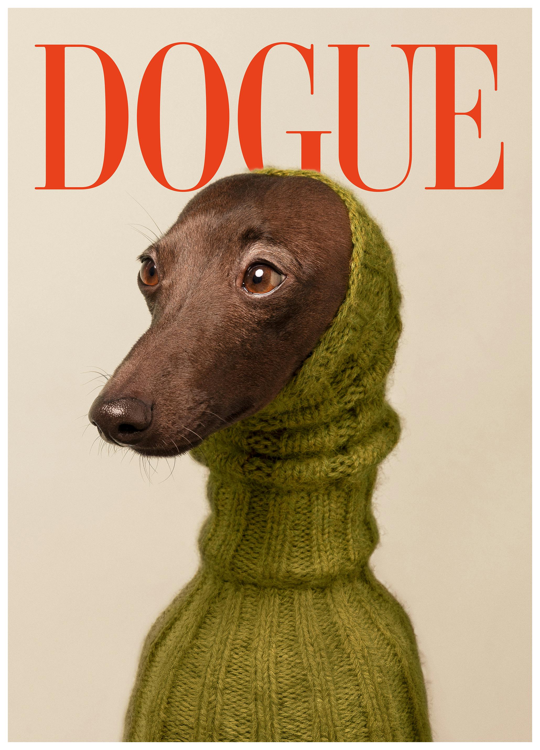 Dogue No2 Plakat (50x70 cm)- Plakaty ze zwierzętami