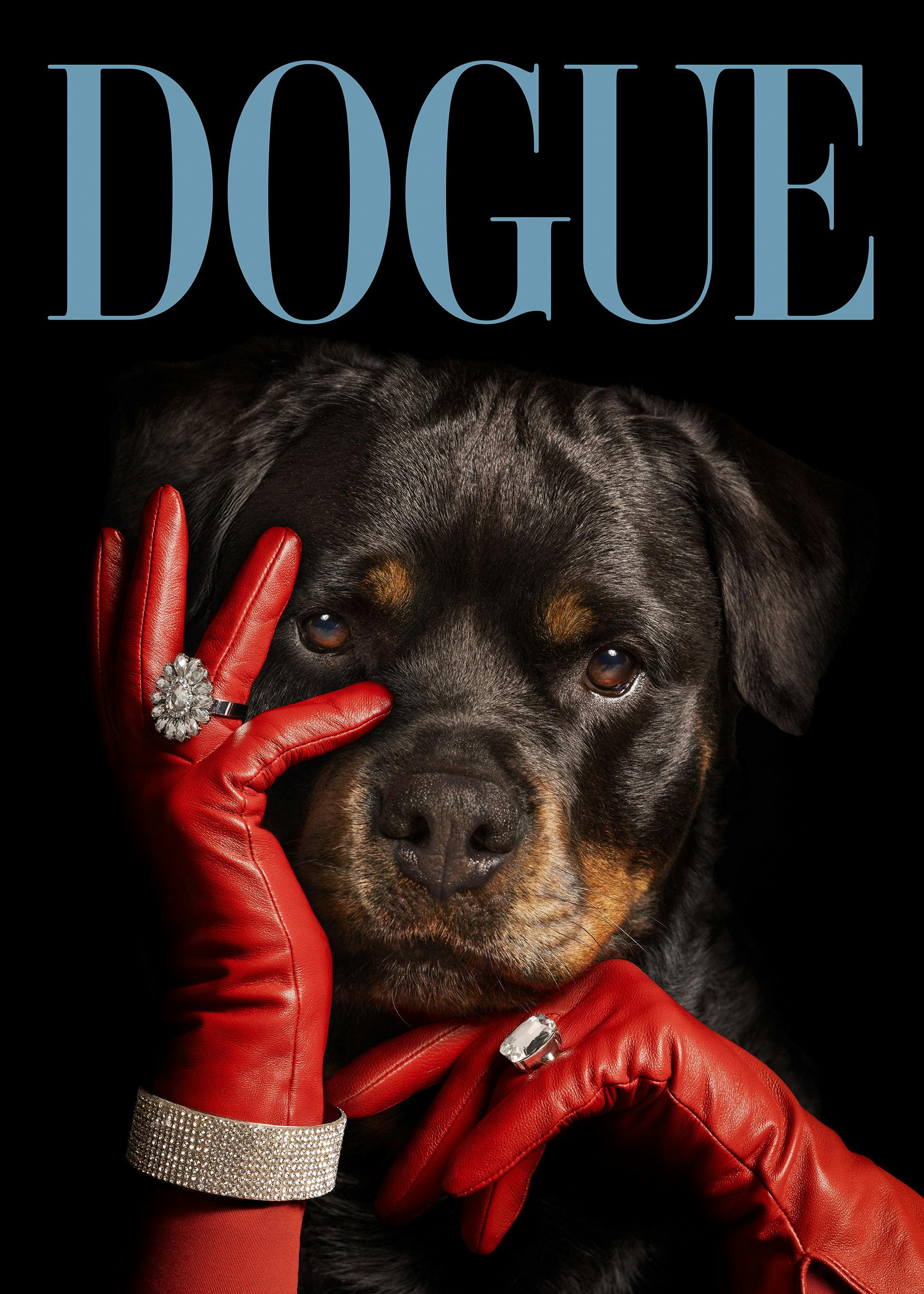 Dogue No3 Affiche 0