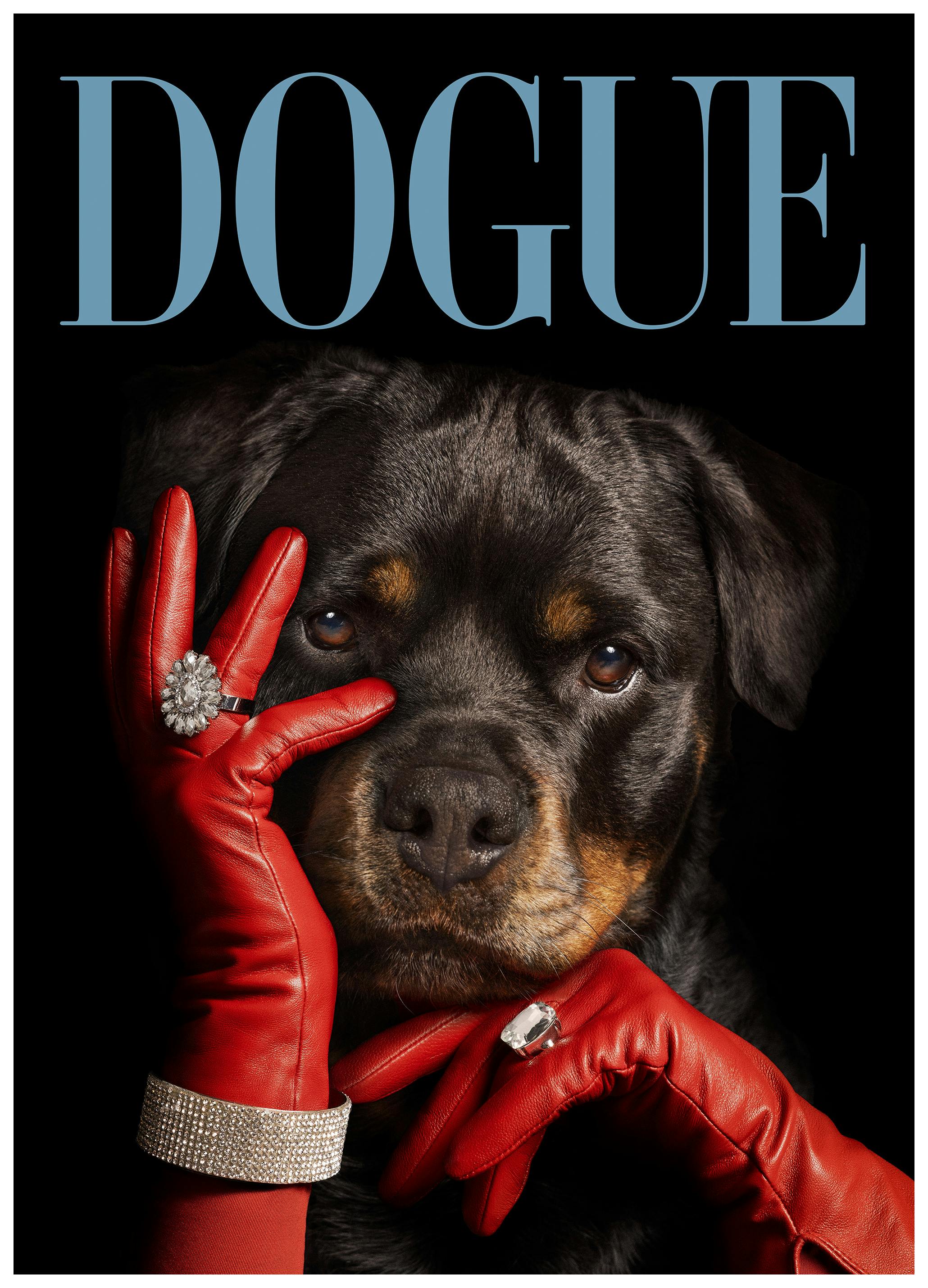 Dogue No3 Poster (50x70 cm)