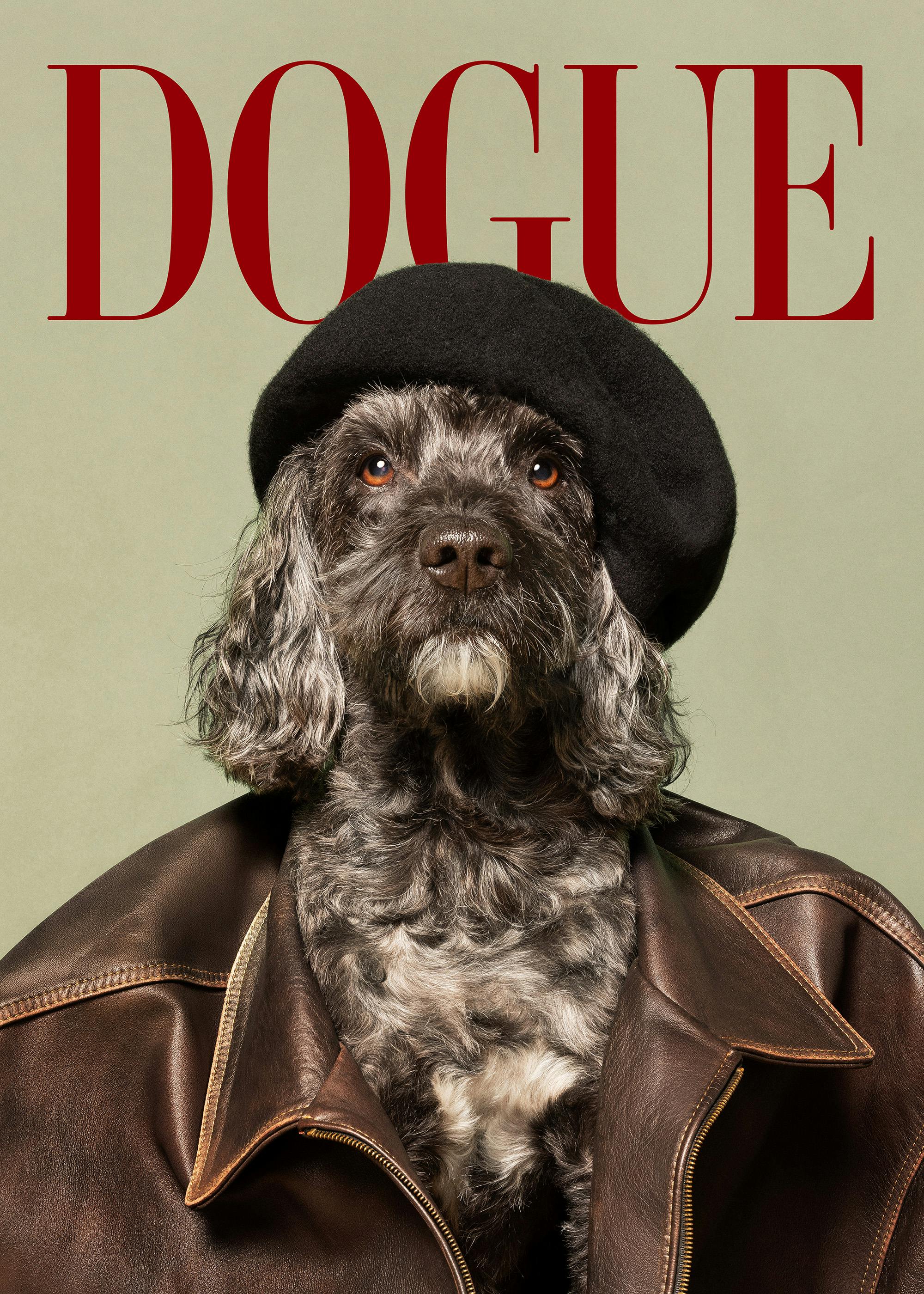 Dogue No4 Poster 0