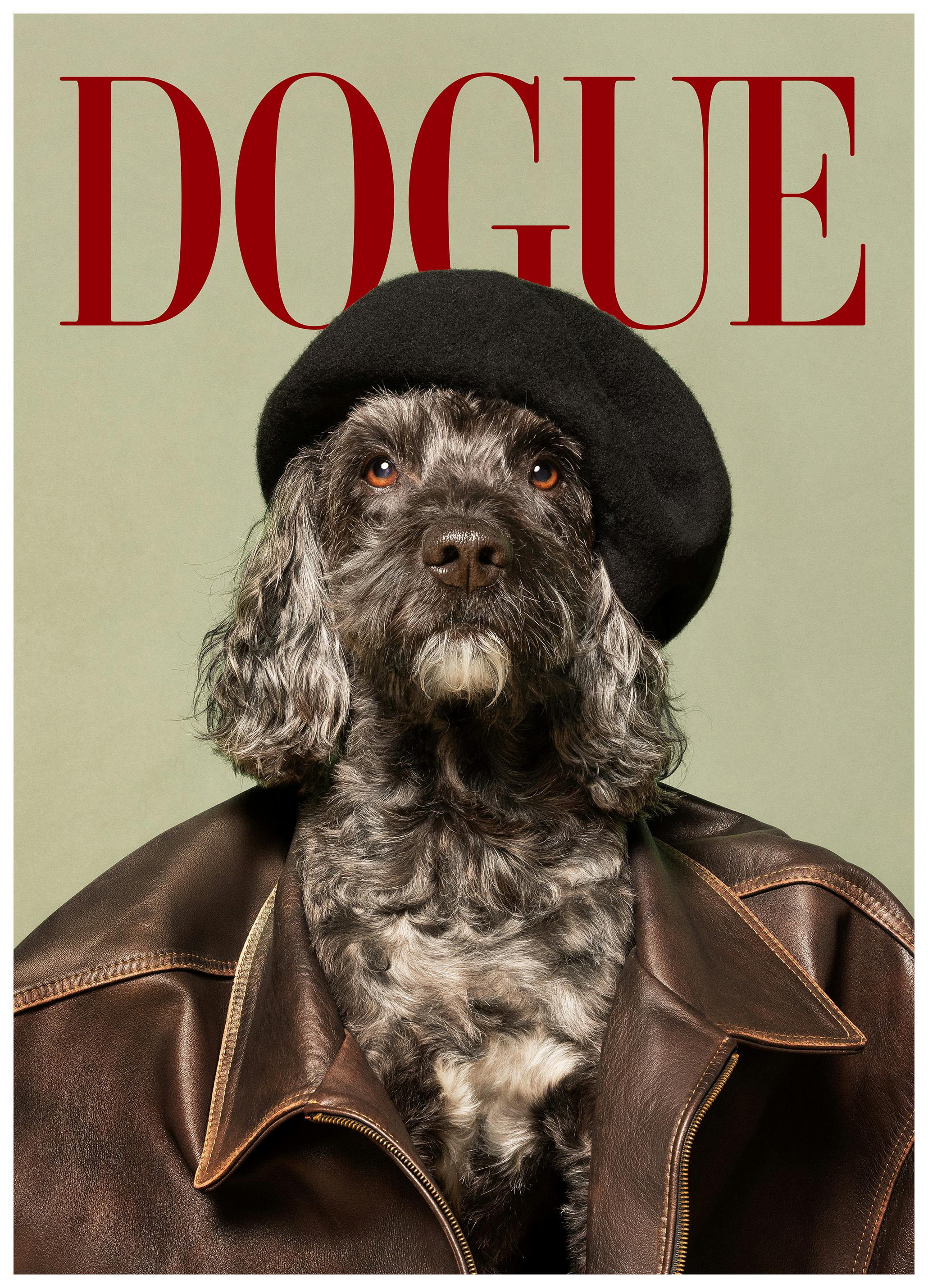 Dogue No4 Poster (30x40 cm)