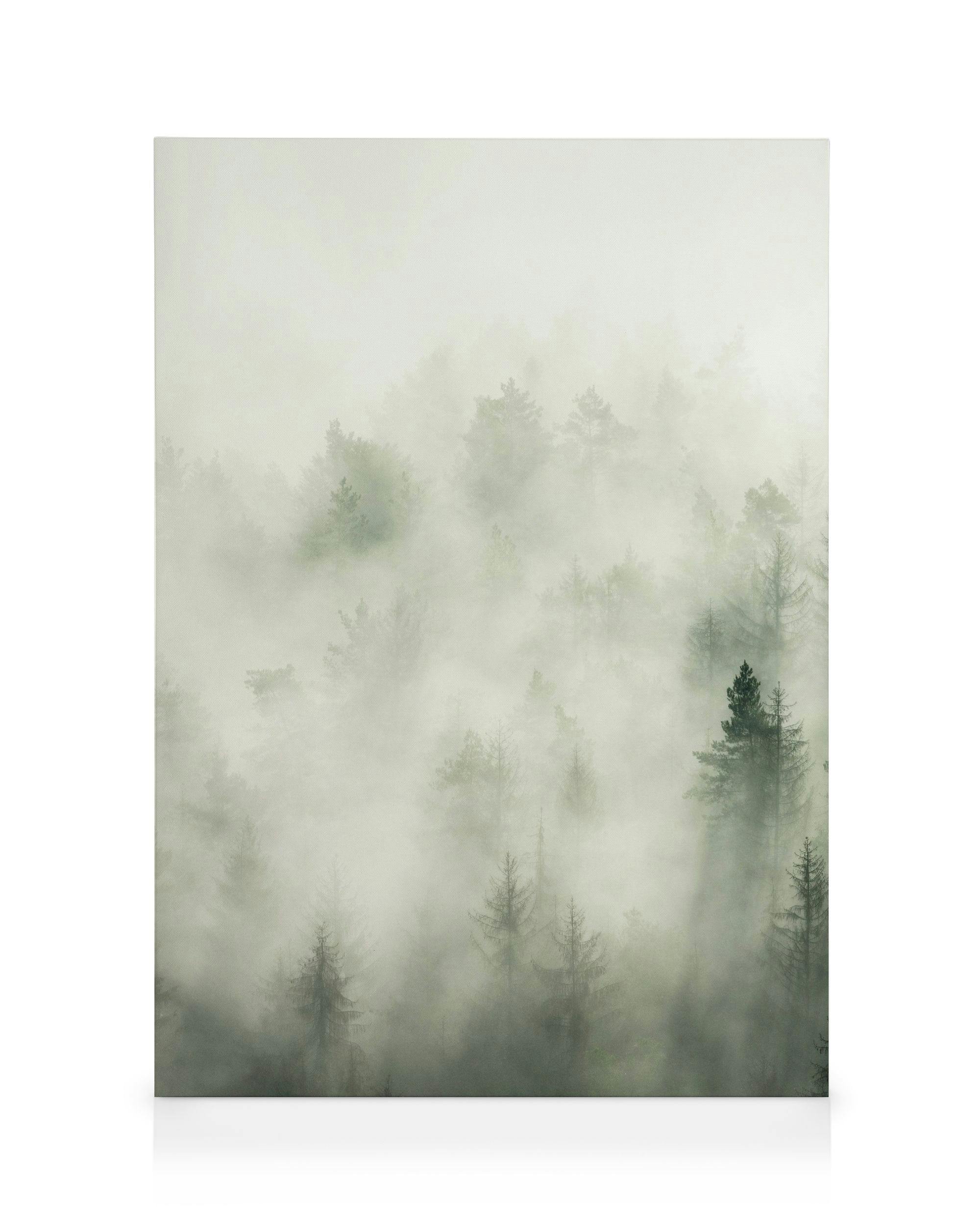 Forest Veil No1 Stampa su Tela 0