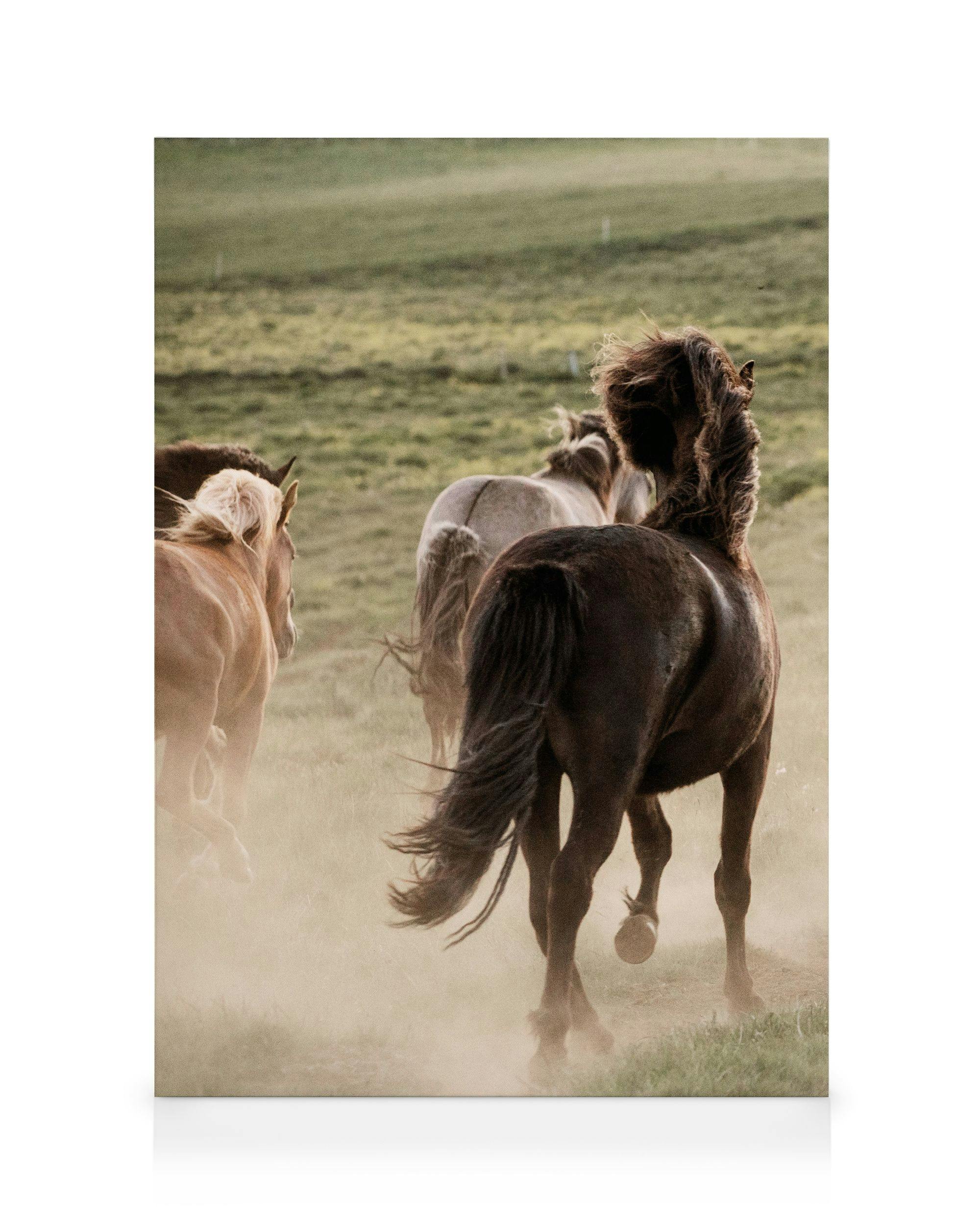 In Motion No1 Lerretsbilde (70x100 cm - Svart Ramme)