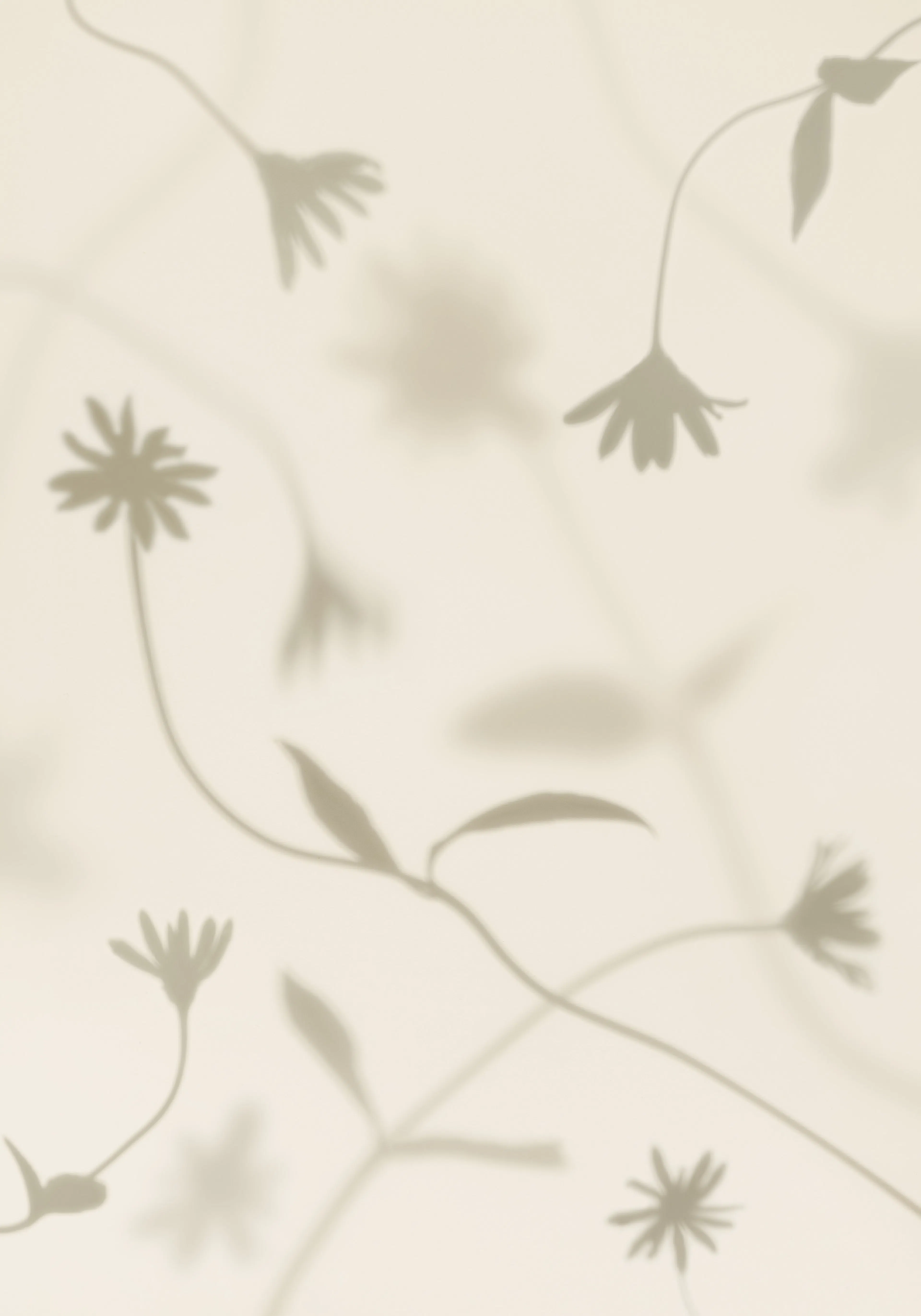 Product image: 1