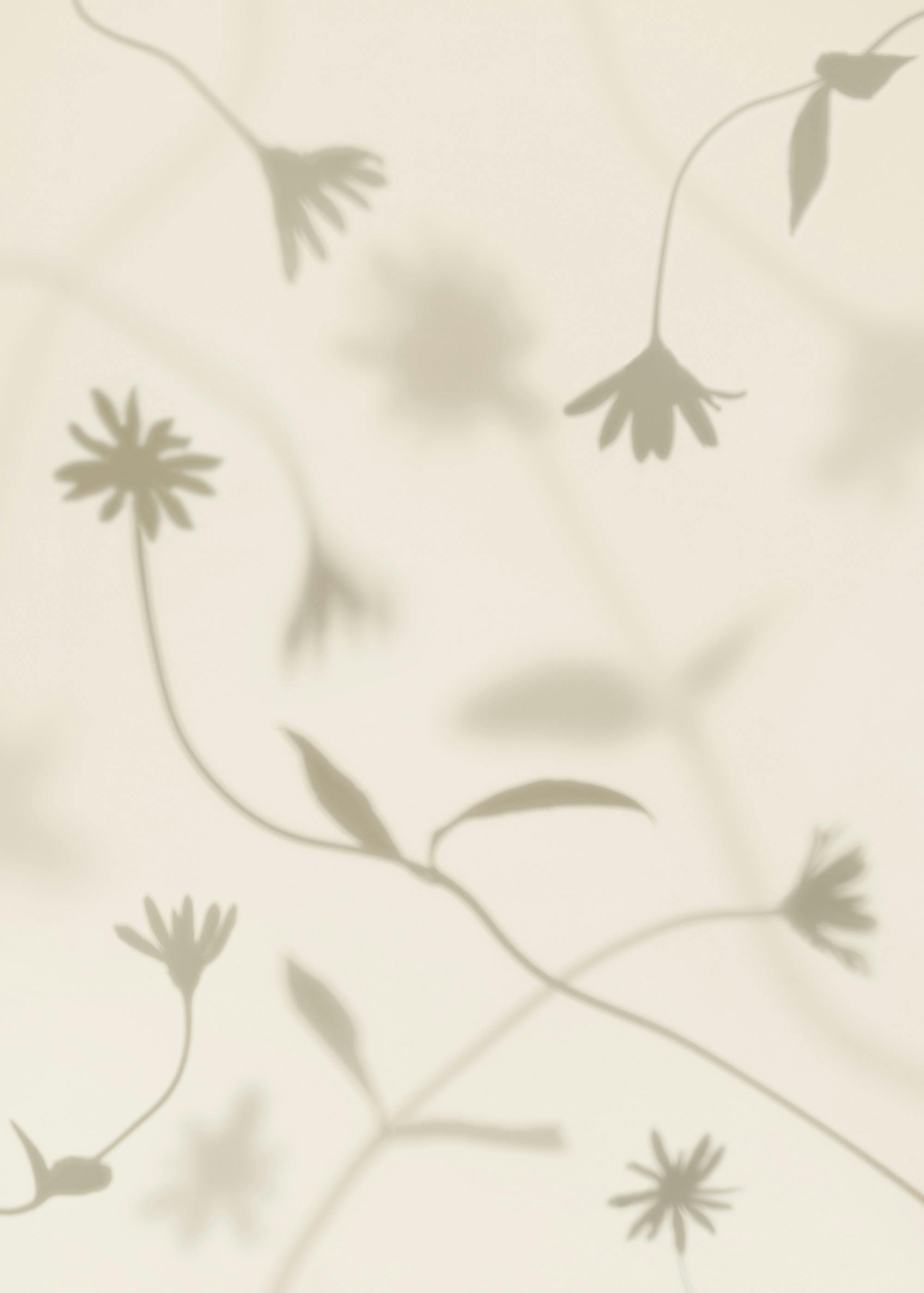 Petal Shadows Print 0