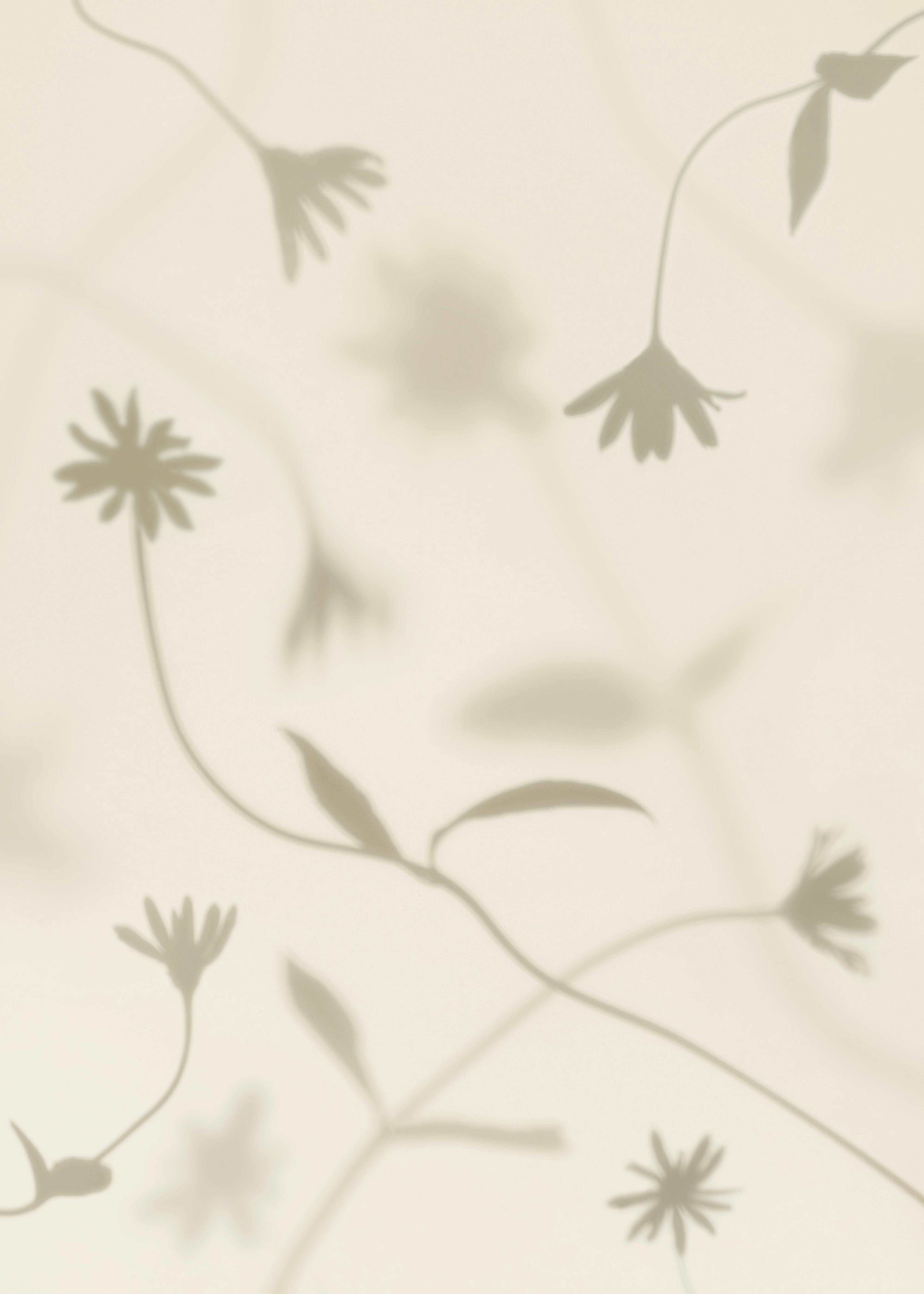 Petal Shadows Print 0