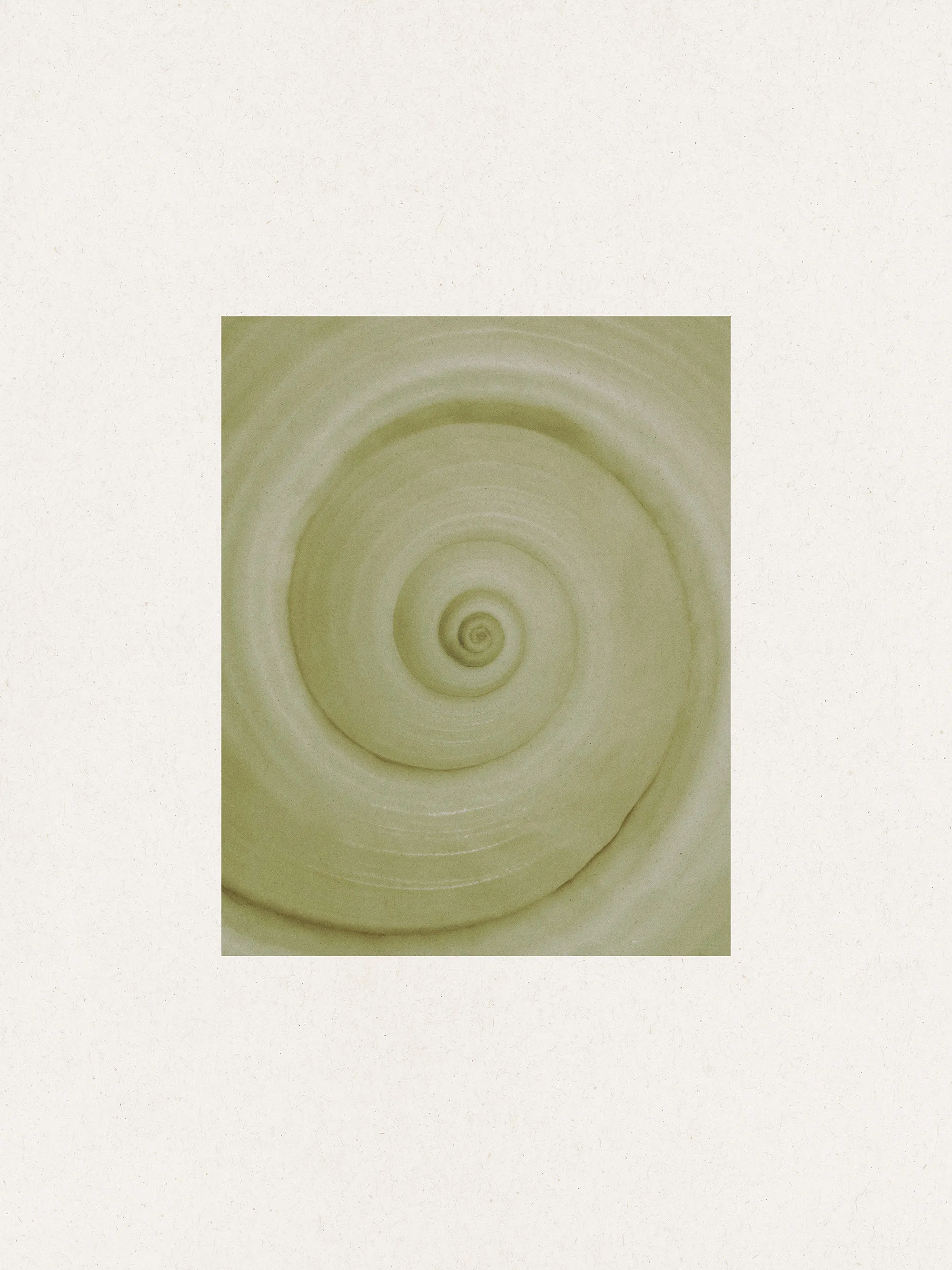 Spiral Study Affiche 0