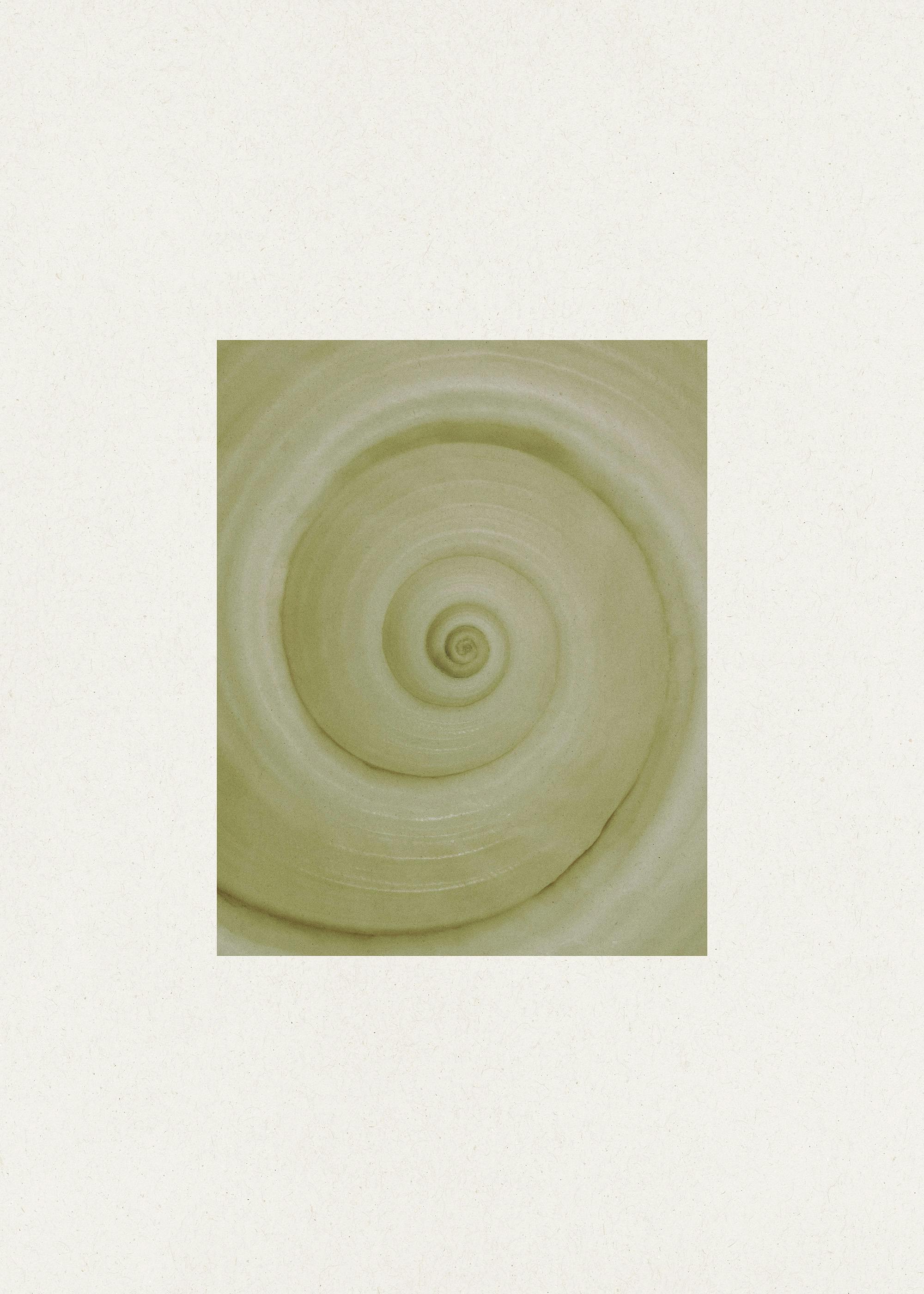 Spiral Study Print 0