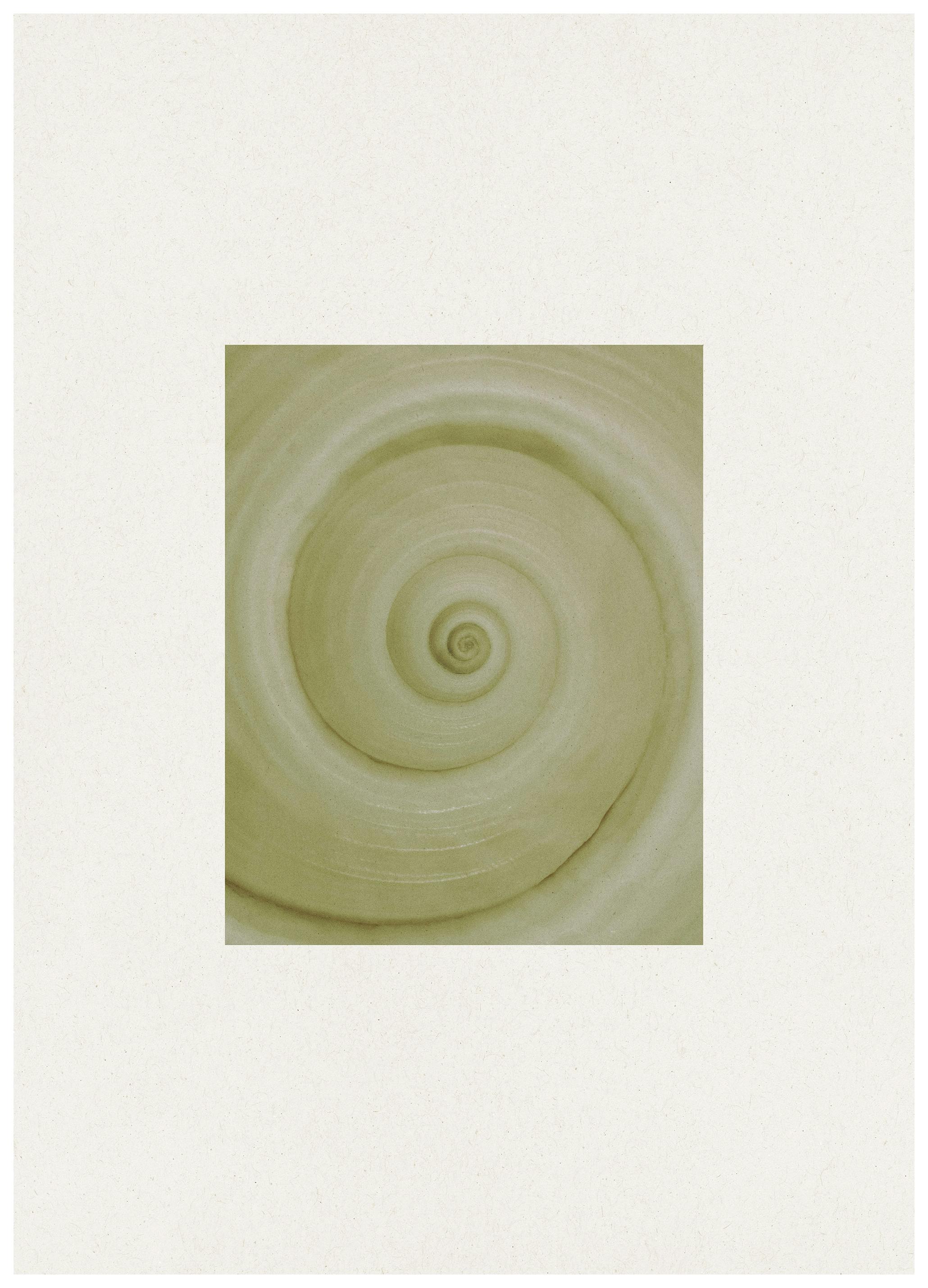 Prints - Spiral Study Print (30x40 cm) - Minimalist Art
