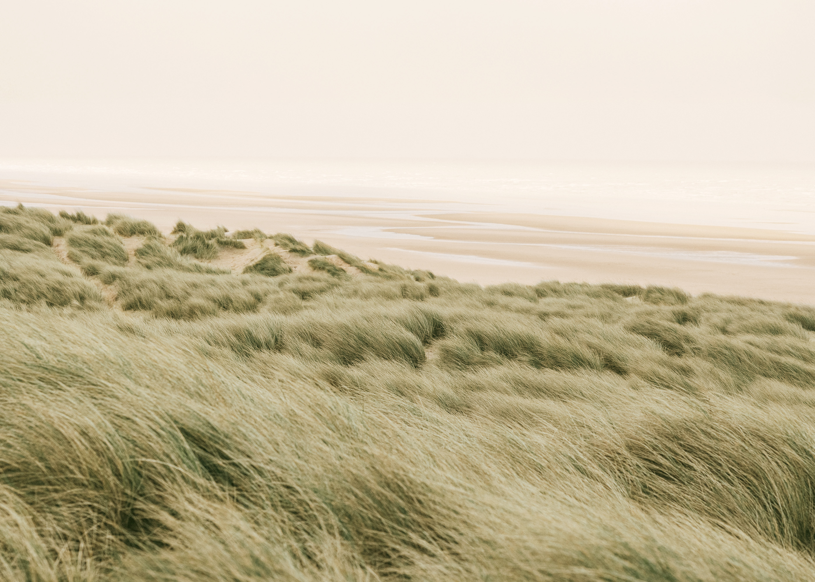 Photography prints