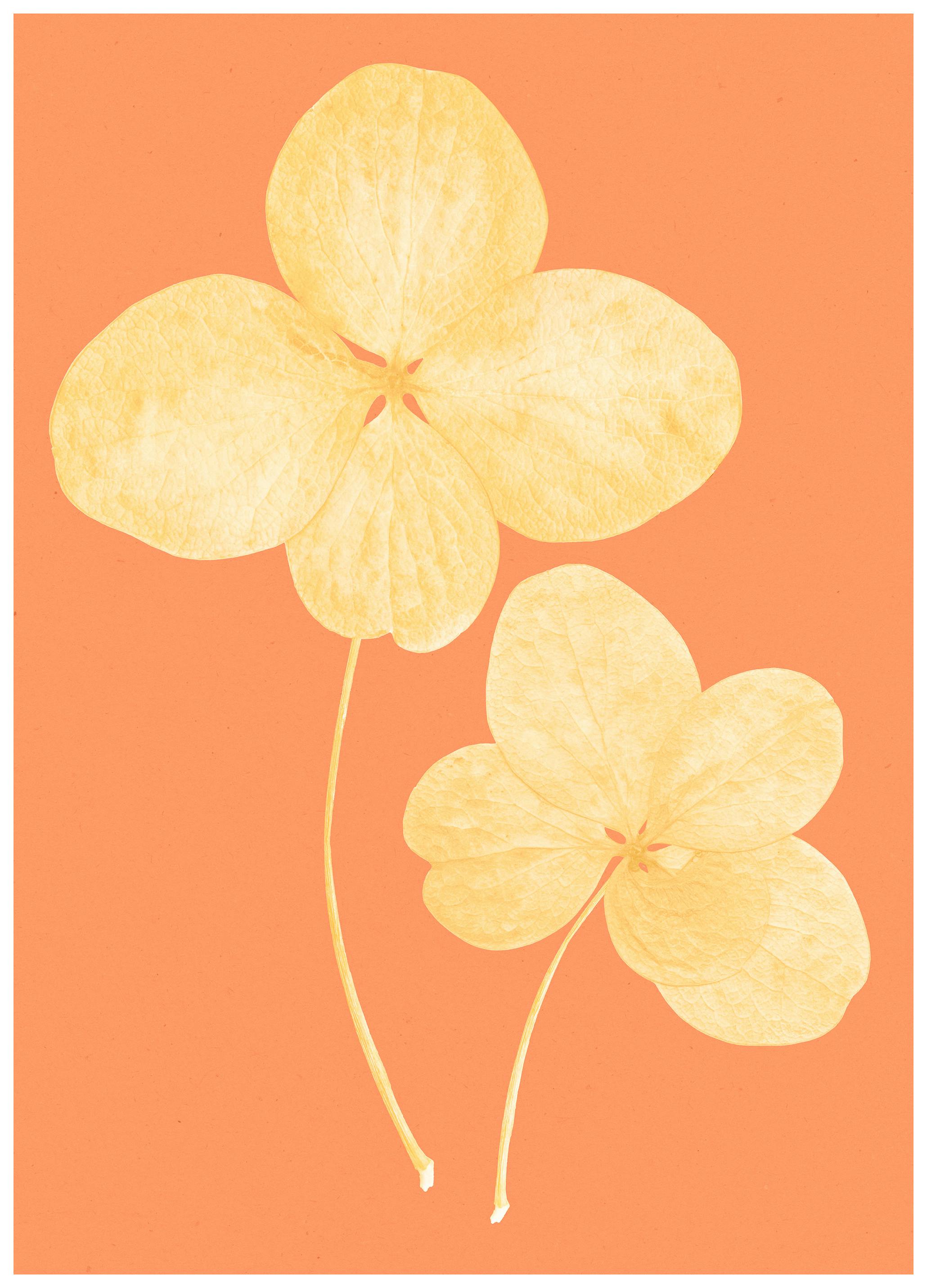 Prints - Two in Bloom Print (30x40 cm) - Floral prints