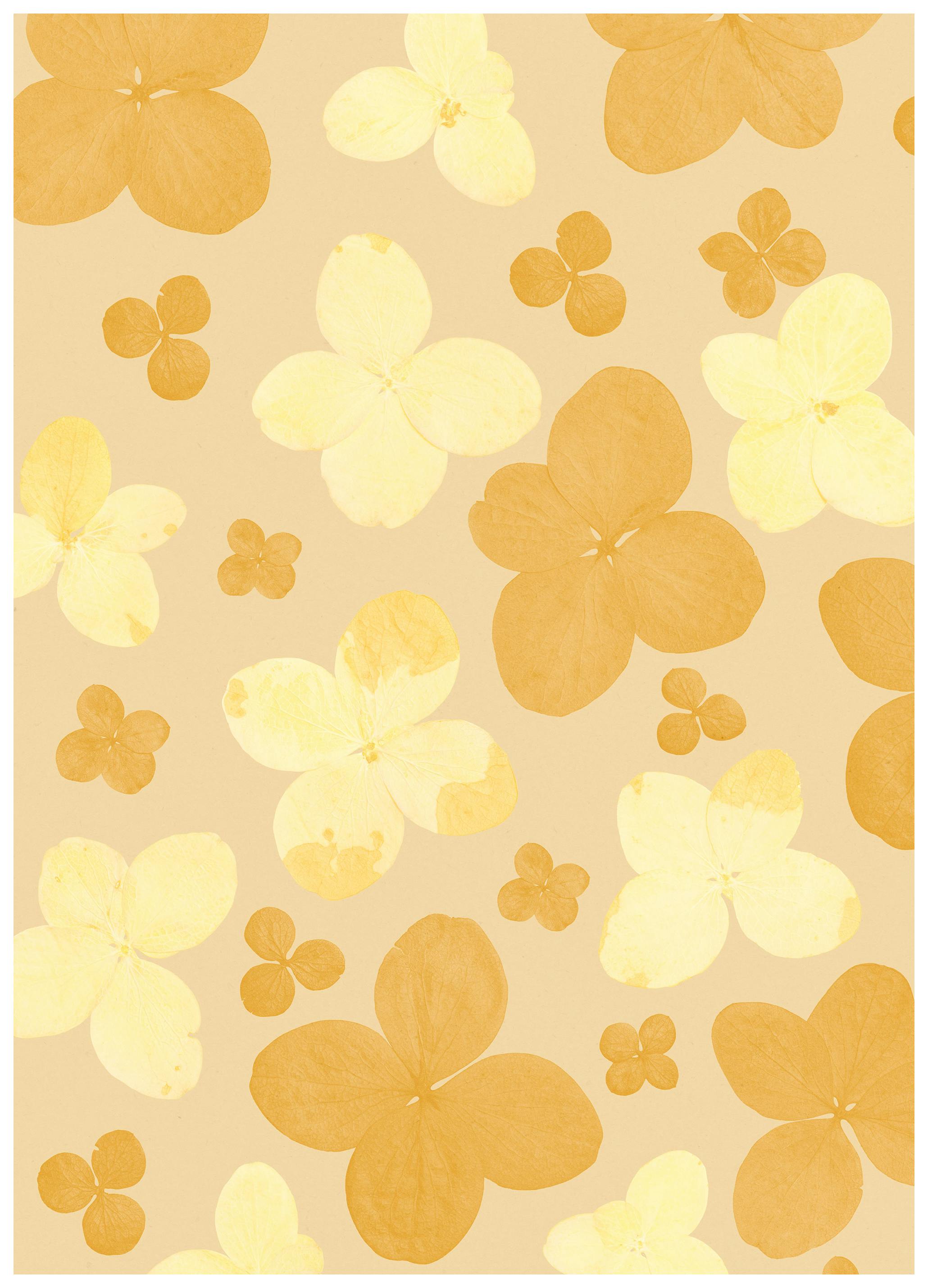 Bloom Room Juliste (21x30 cm)  Kukkajulisteet