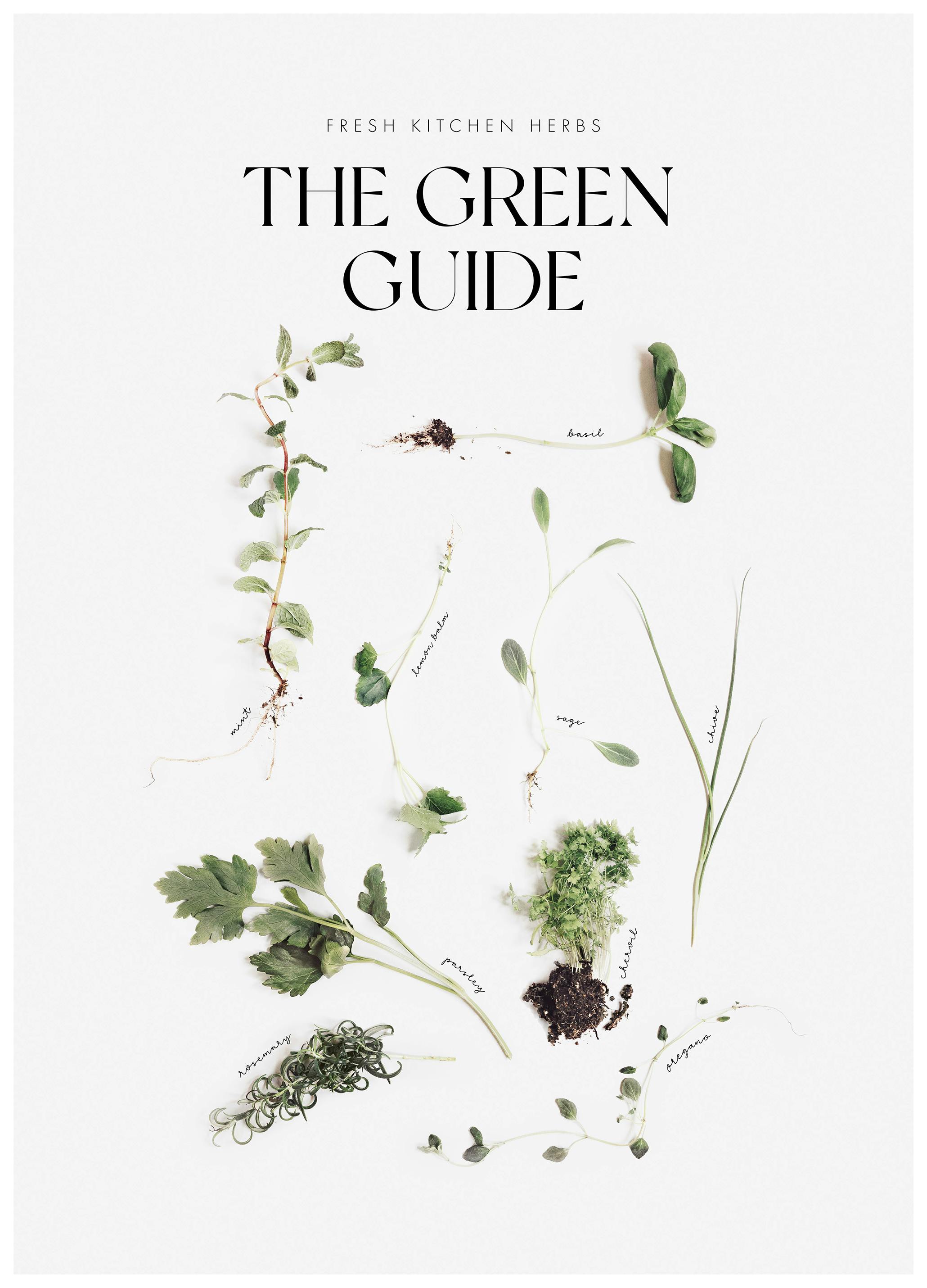 The Green Guide Poster (21x30 cm)