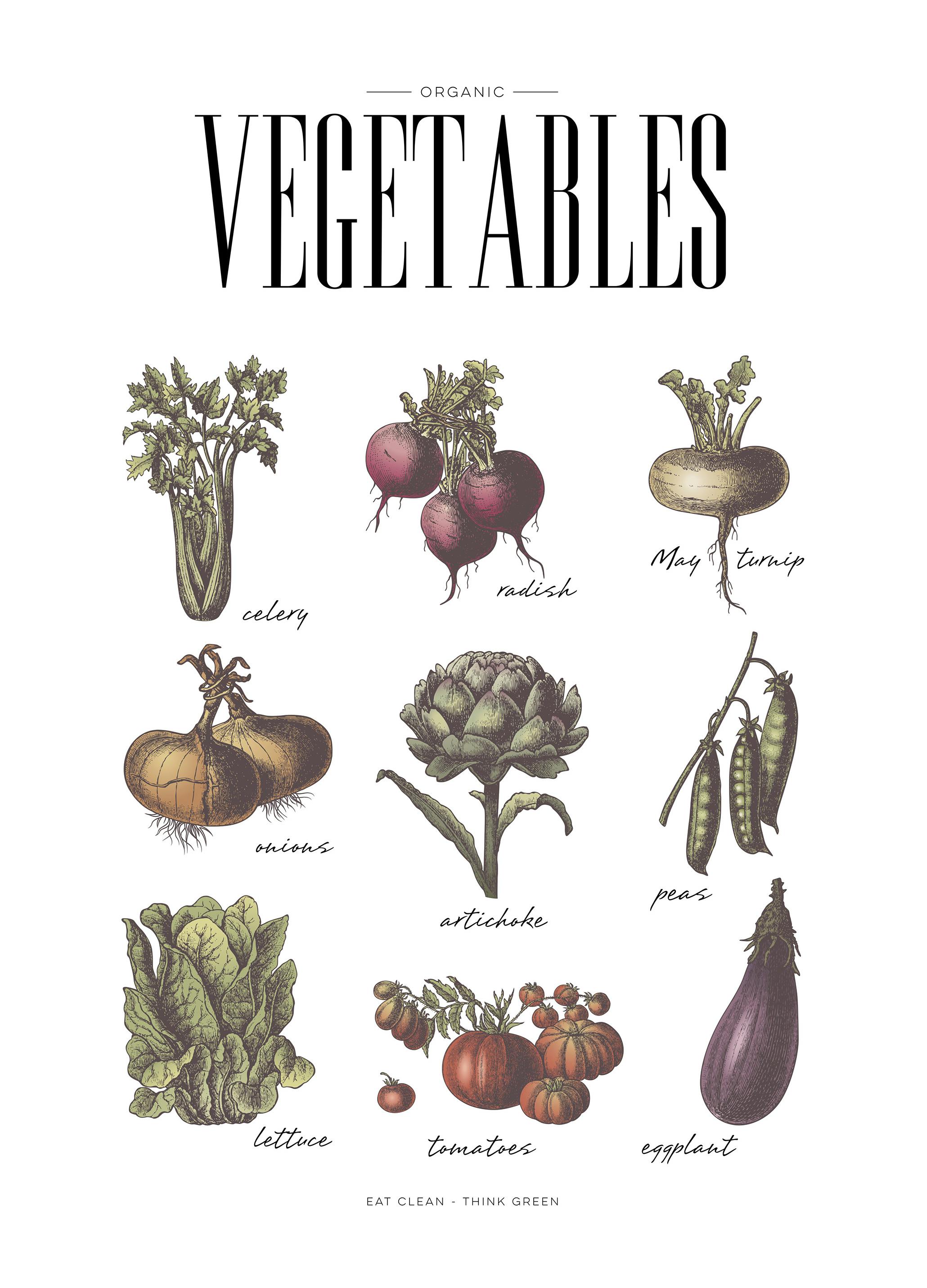 Vegetables, Poster (30x40 cm) -  Bilder für die Küche