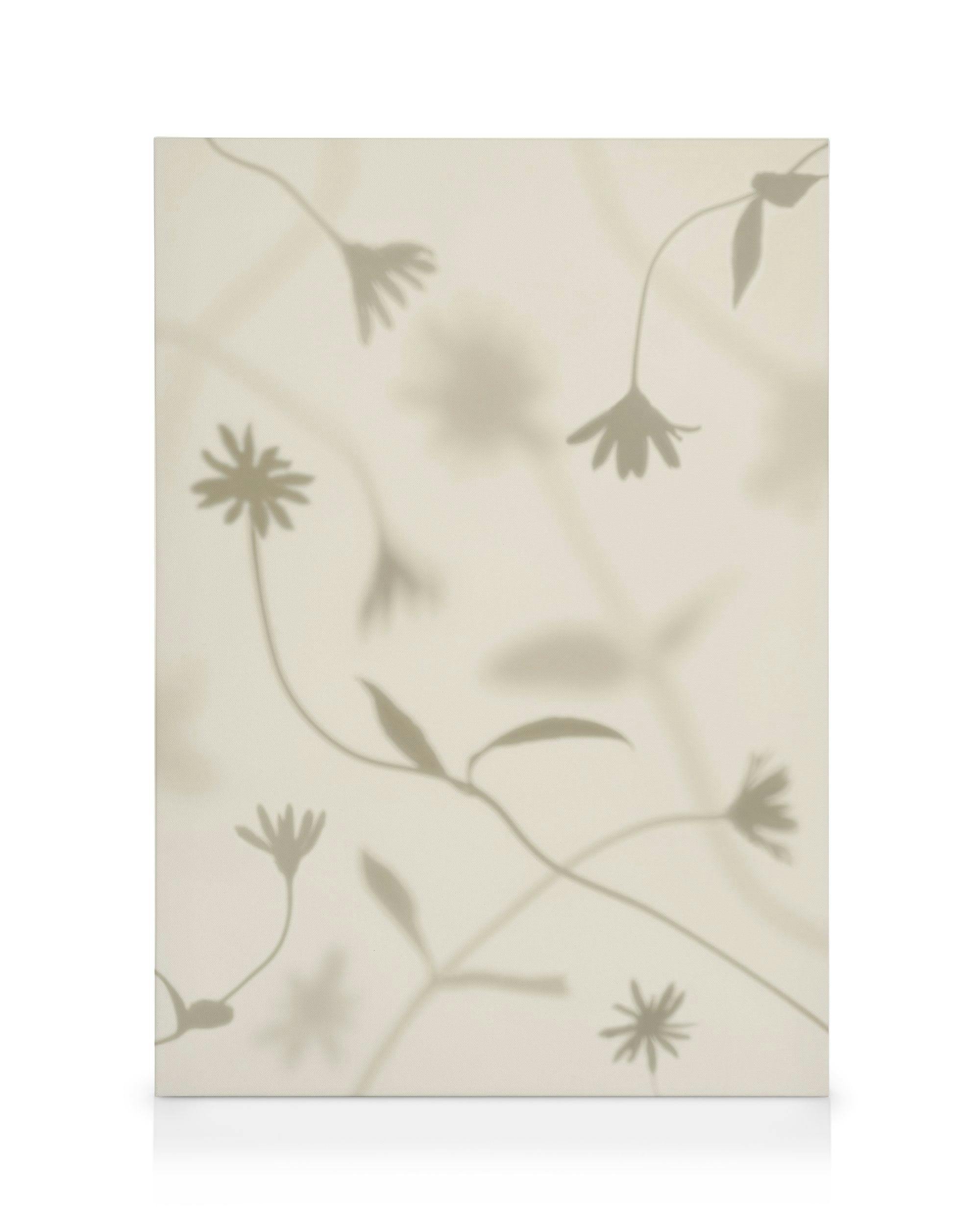 Petal Shadows Stampa su Tela (50x70 cm - Cornice in rovere)- Fiori