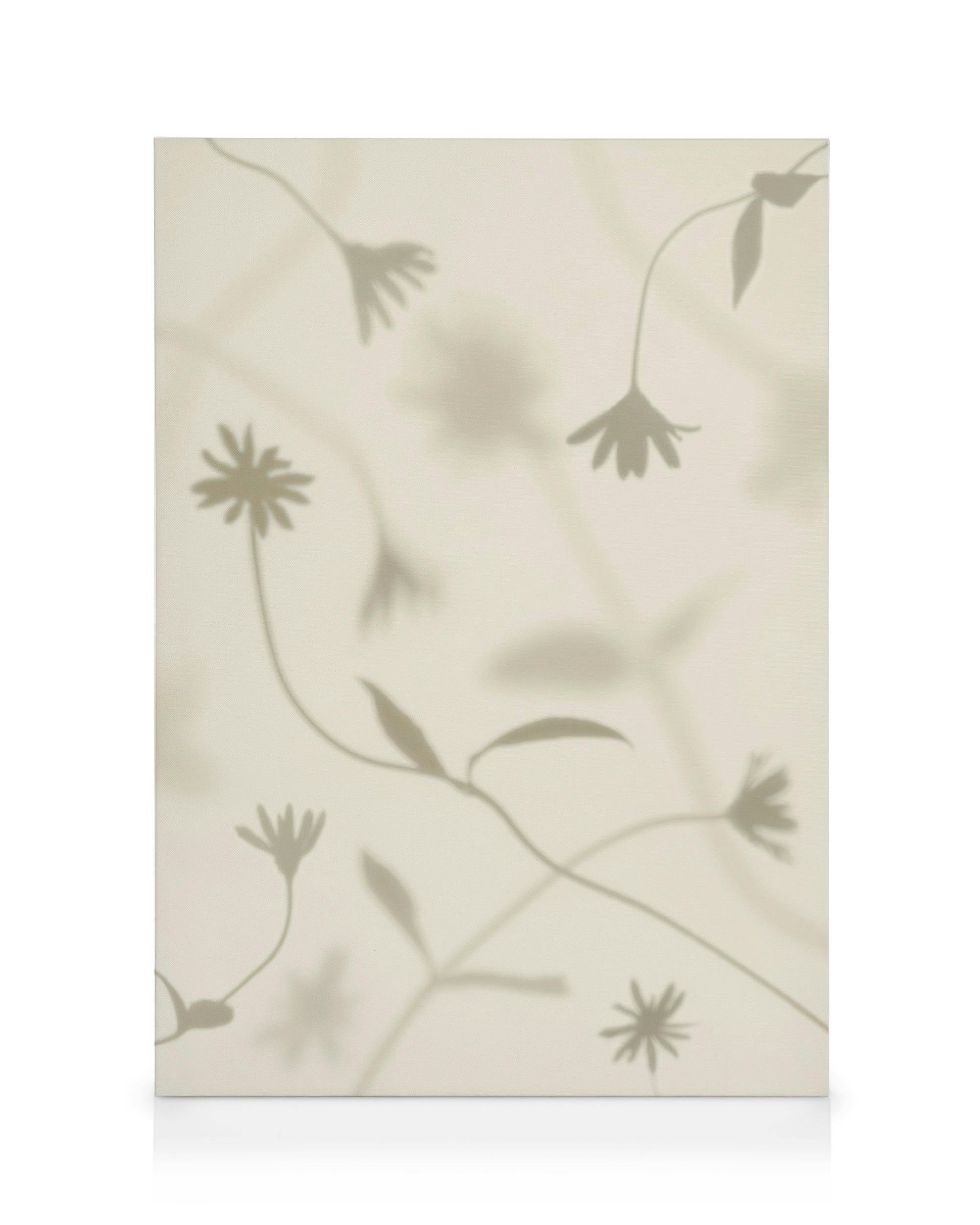 Petal Shadows Toile 0