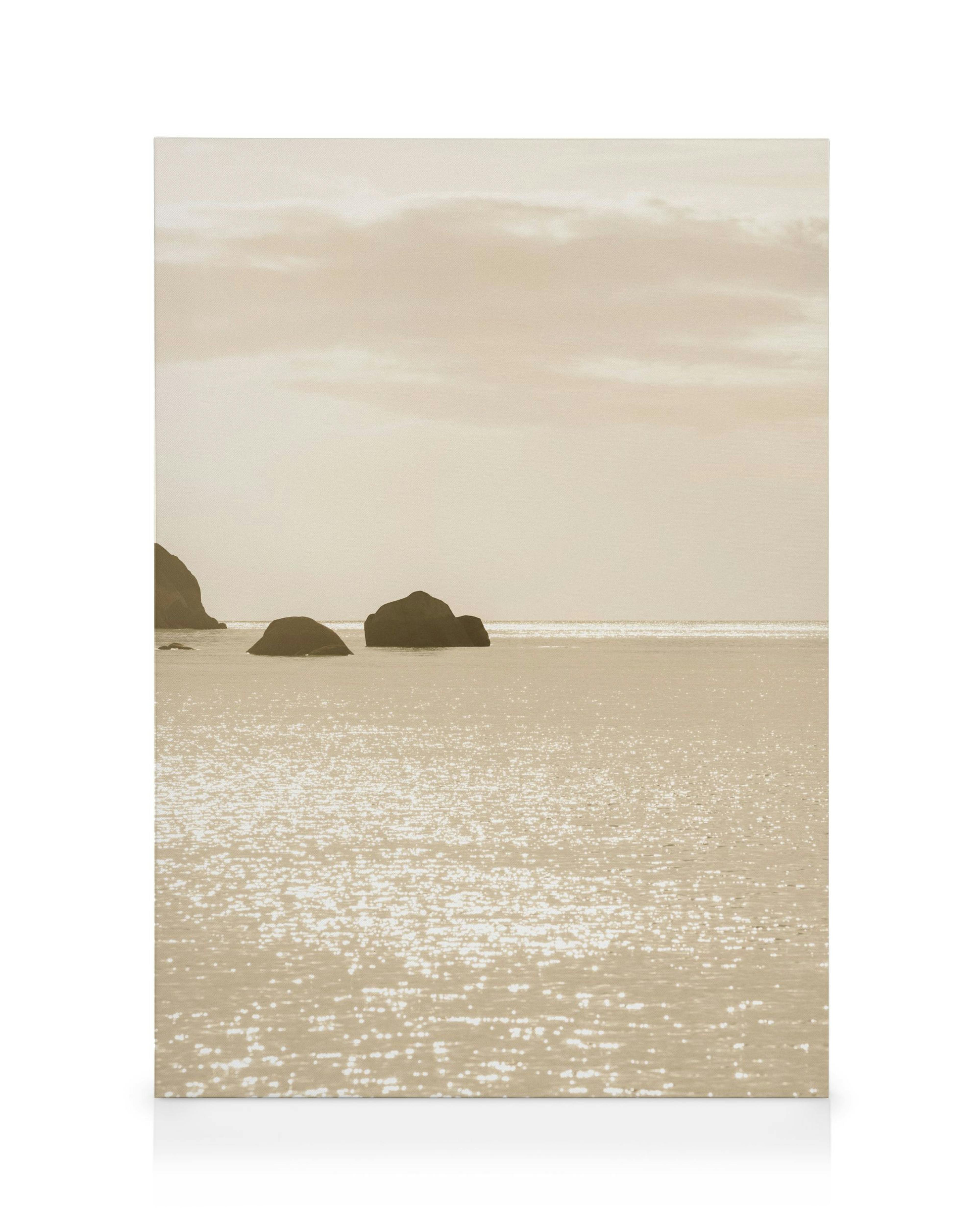 Pure Horizon Toile 0