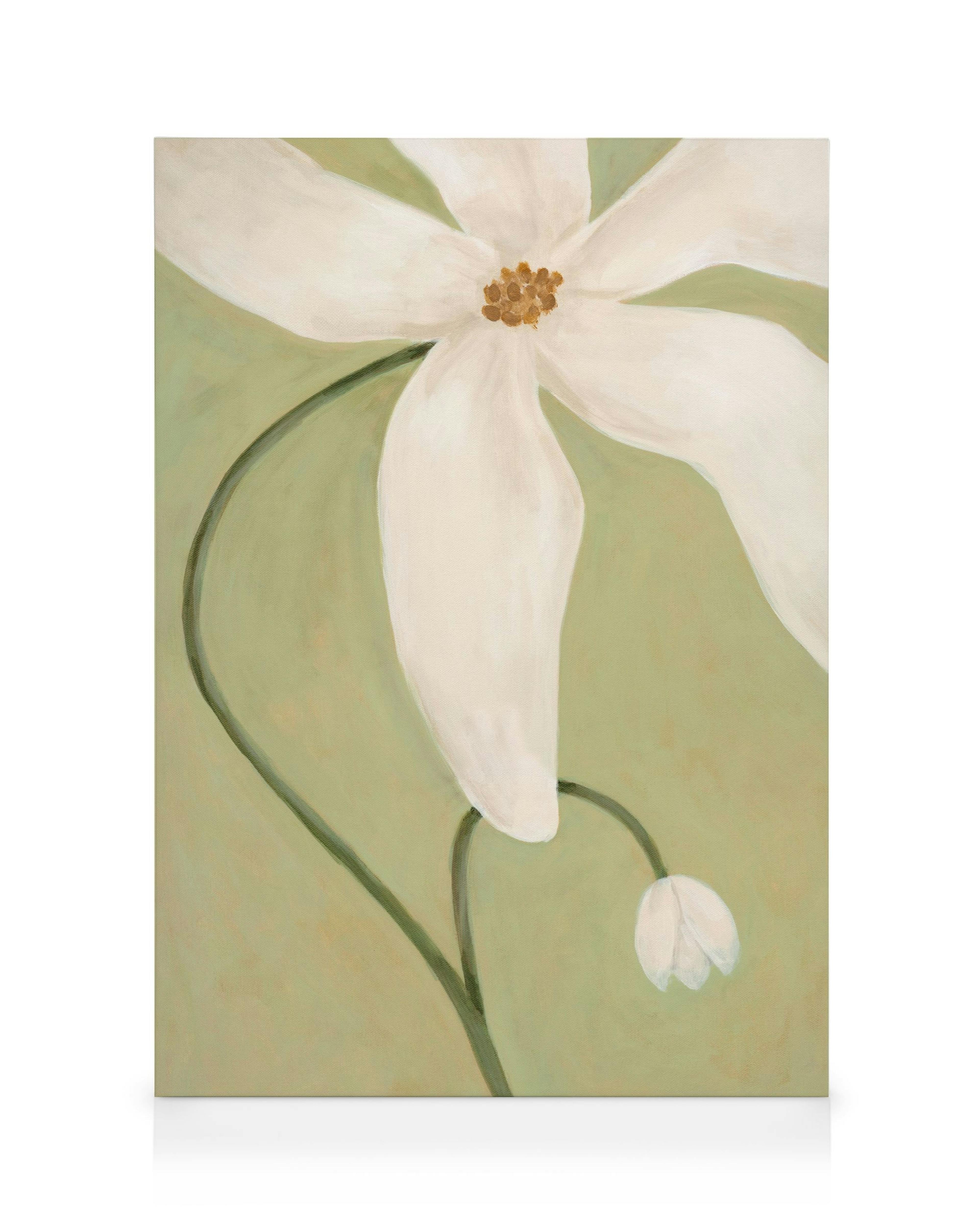 Still Blooming Toile 0