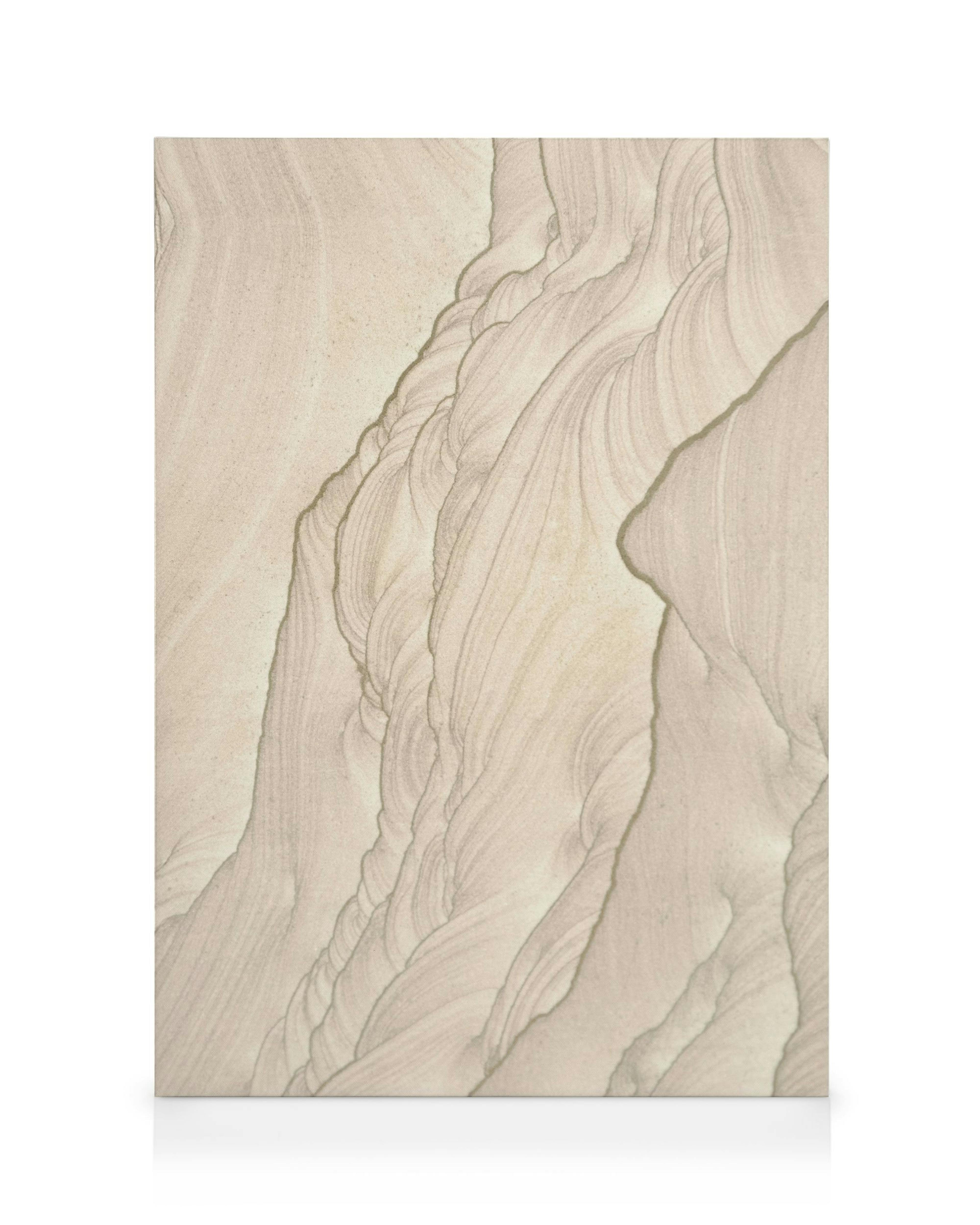 Shaped by Time Toile 0