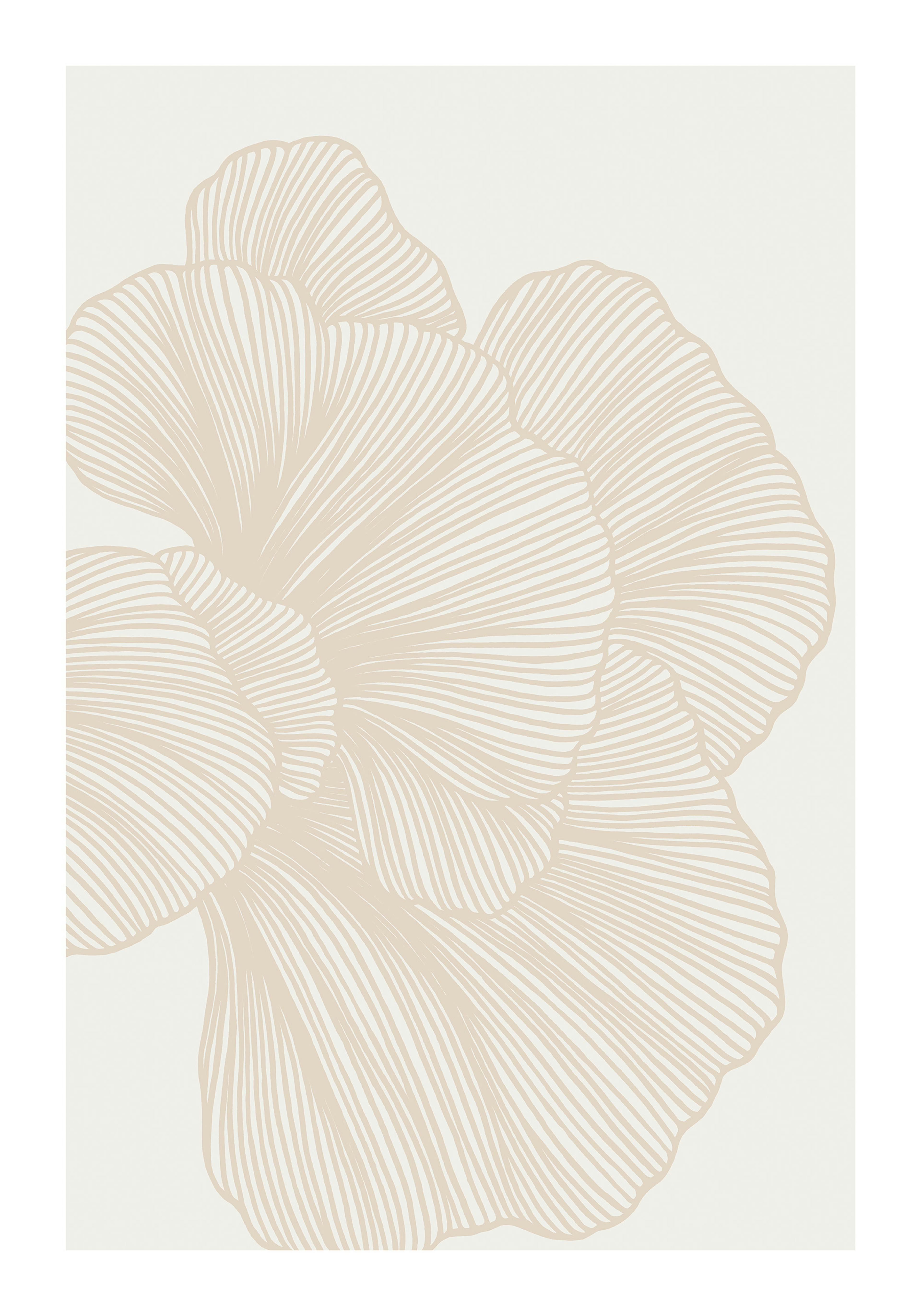 Plakat med beige, stribede, blomsterlignende former på en lys baggrund. Abstrakt, naturinspireret kunst.