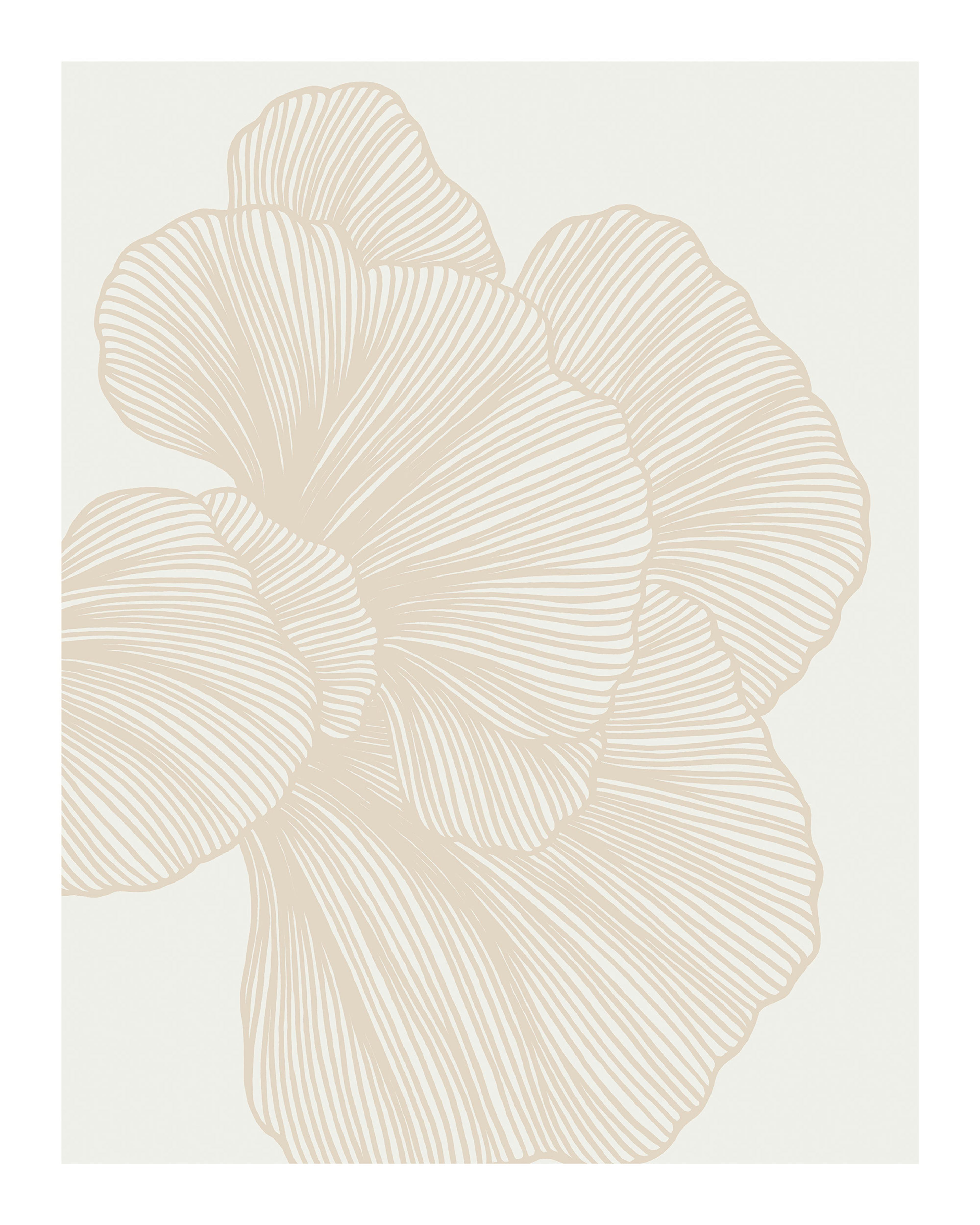 Póster de líneas beige con patrón floral, ilustración abstracta de pétalos de flores en un fondo claro, diseño floral moderno.