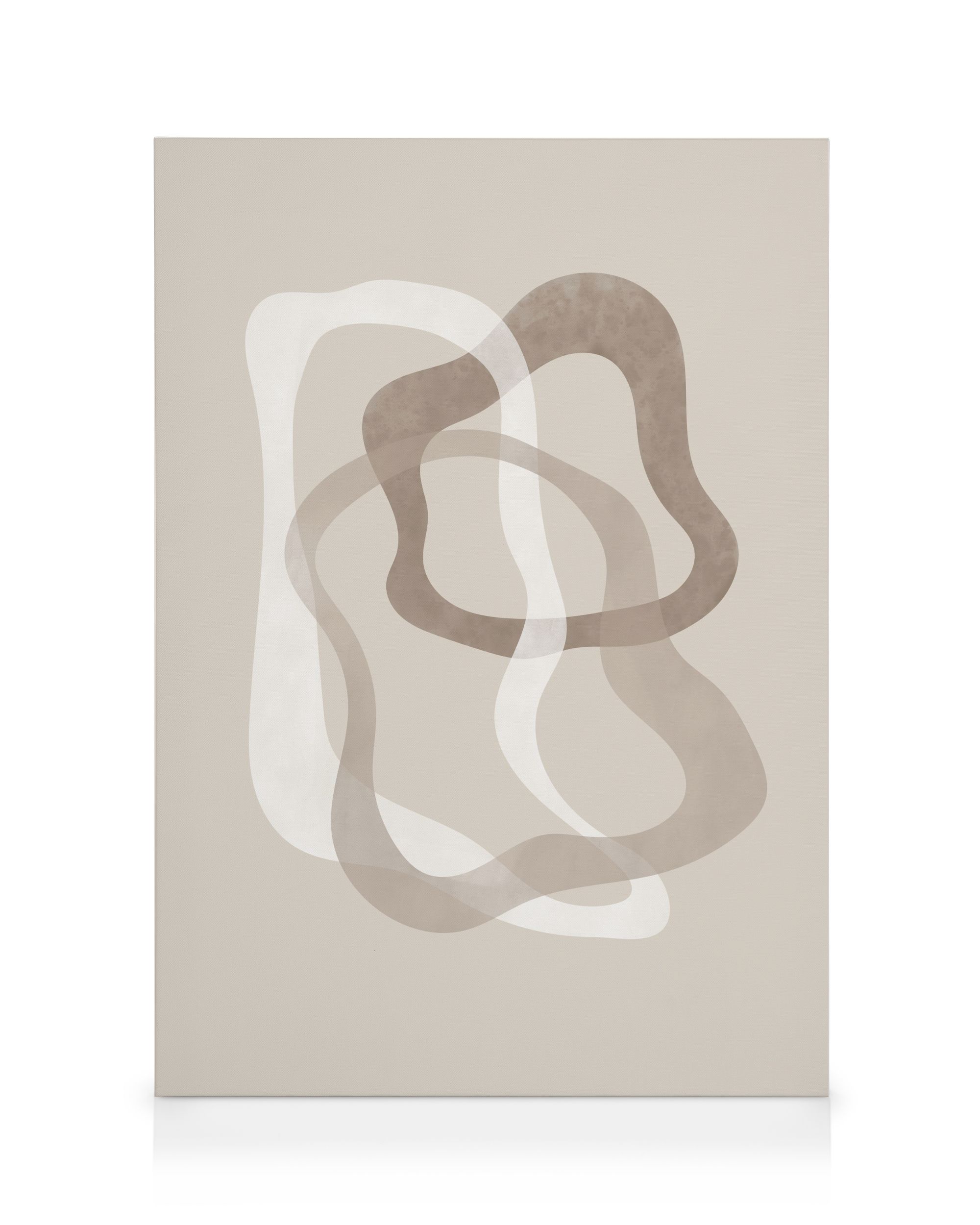 Abstract Brown Shapes No2 Canvas print