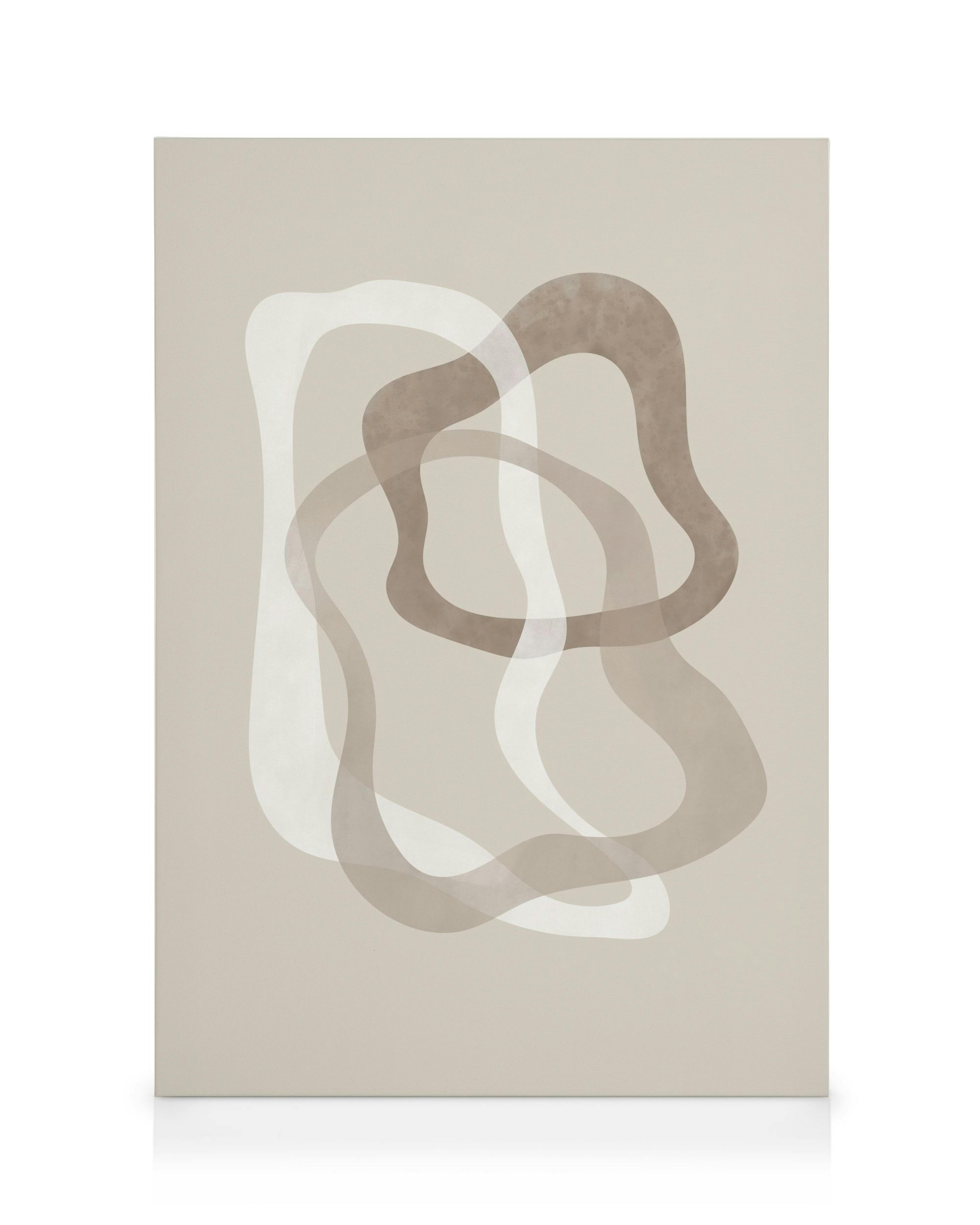 Abstract Brown Shapes No2 Leinwand 0