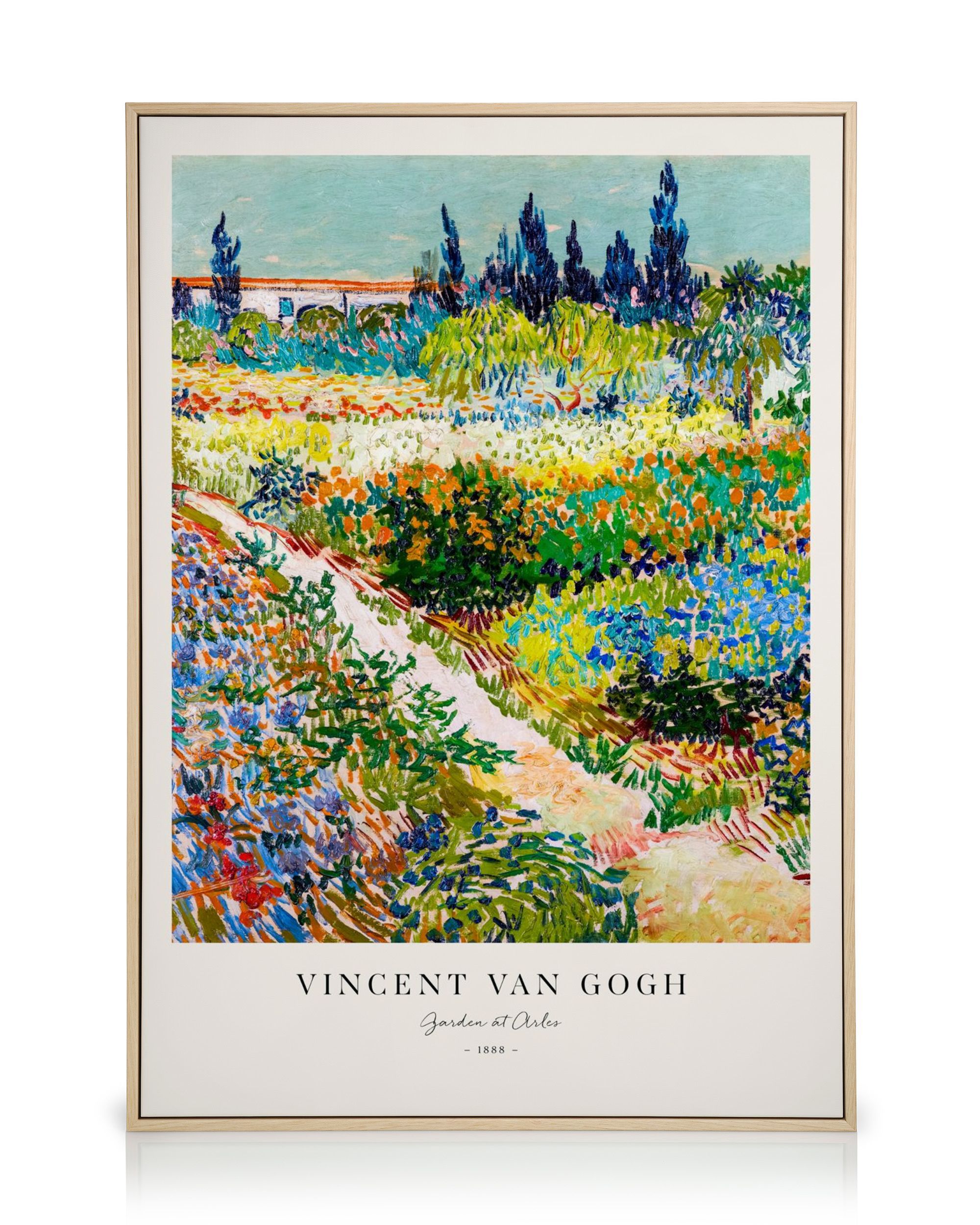 Van Gogh - Garden at Arles Canvas print