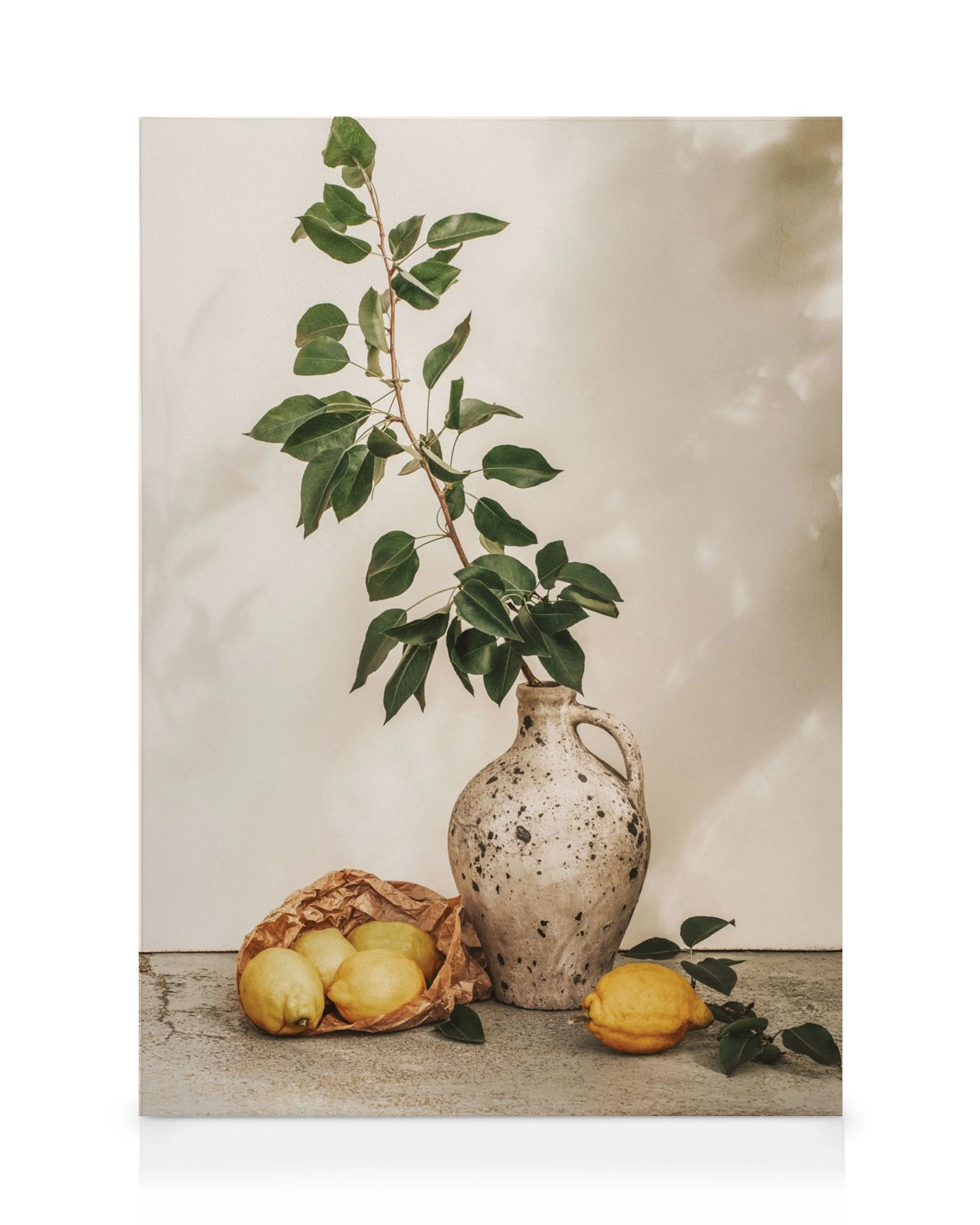 Leinwandbild: Eine Vase mit einem grünen Pflanzenzweig und Zitronen in einer Papiertüte und daneben.