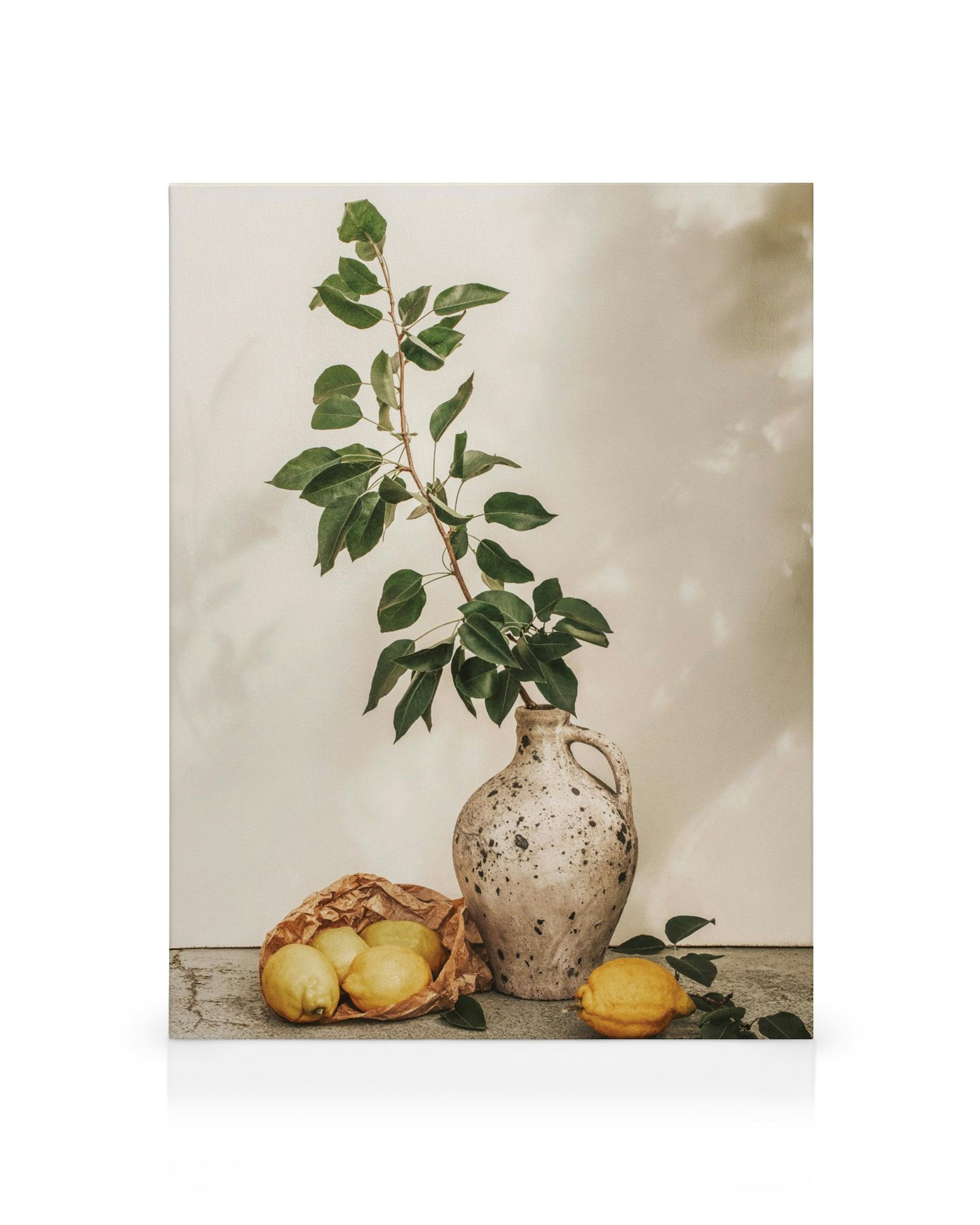Toile représentant une branche feuillue dans un vase en terre cuite, avec des citrons et des feuilles sur une surface grise.