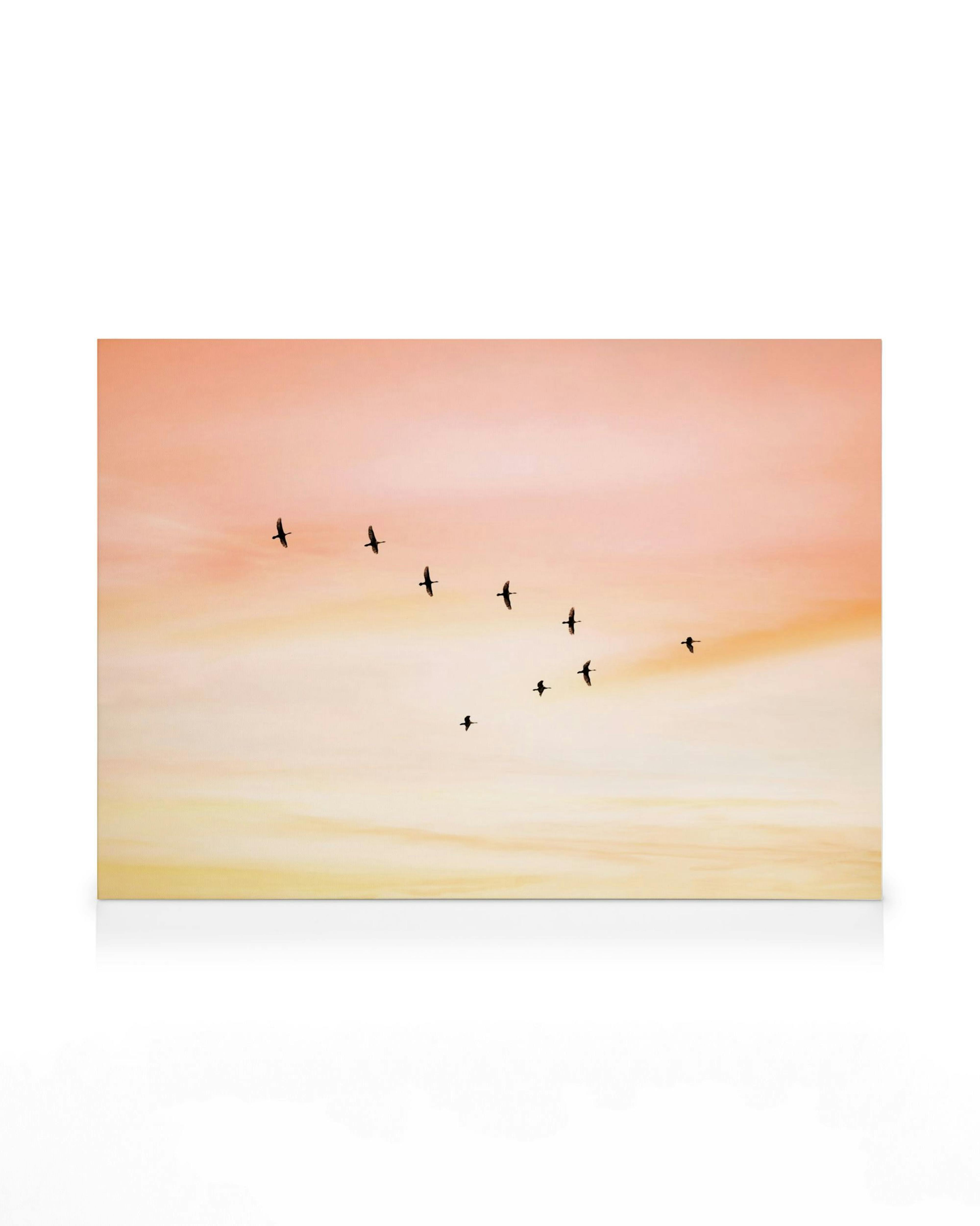 Sunset Birds Canvas with black bird silhouettes flying across a peach and yellow sky at dusk.