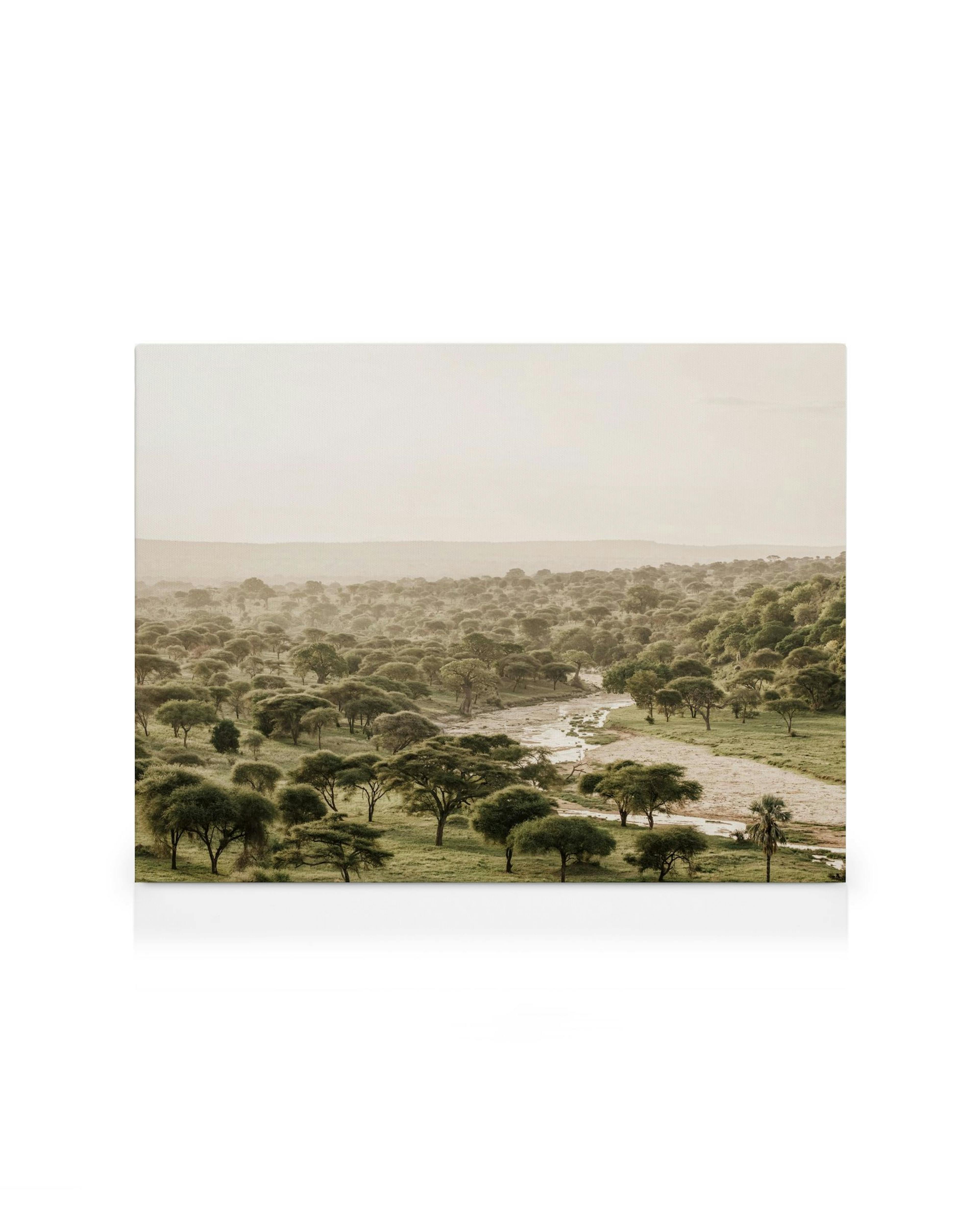 Obraz na płótnie: afrykański krajobraz z rzeką i drzewami akacjowymi, zieleń i żółć.