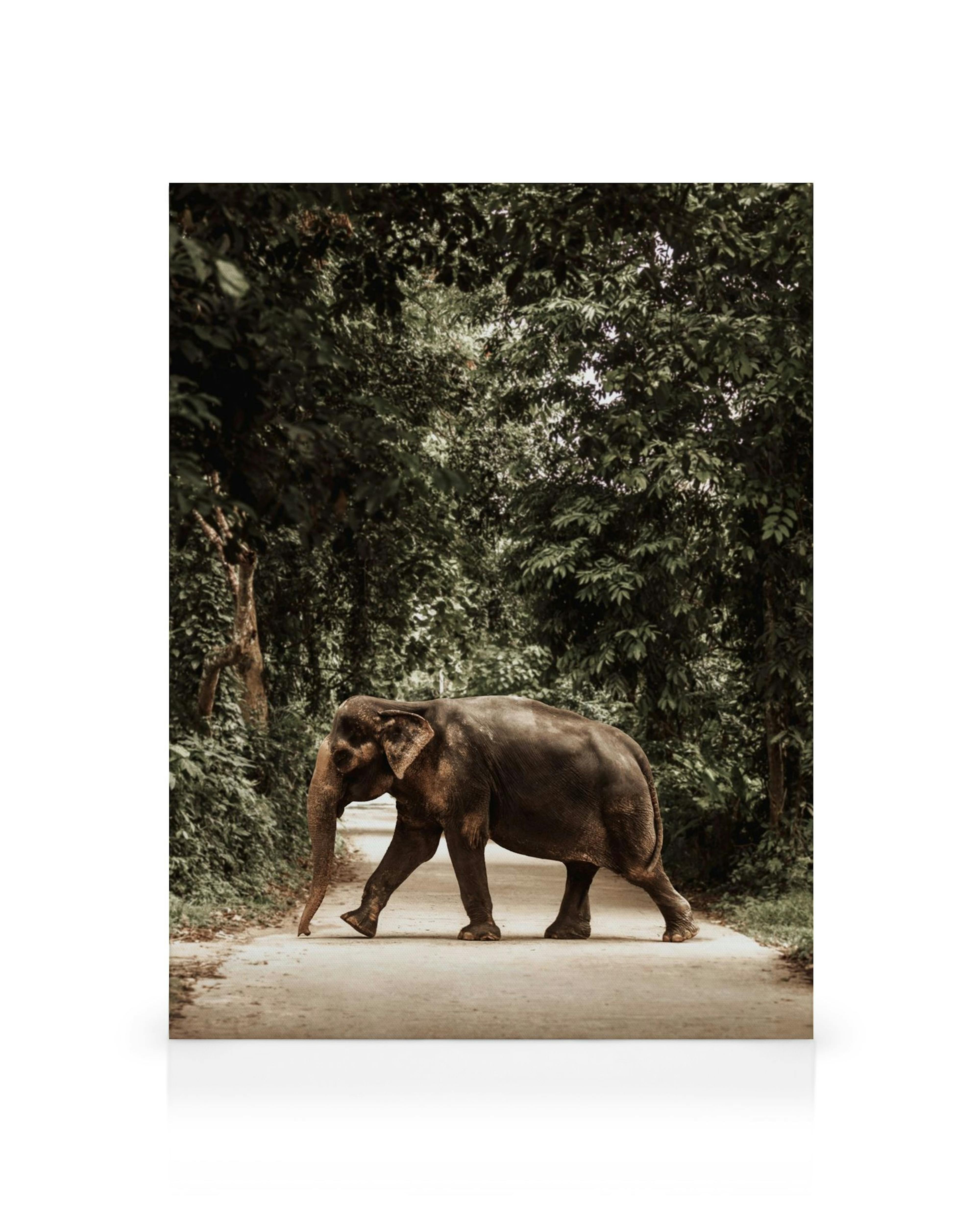 Toile dun éléphant gris foncé marchant sur une route de terre bordée darbres verts luxuriants.
