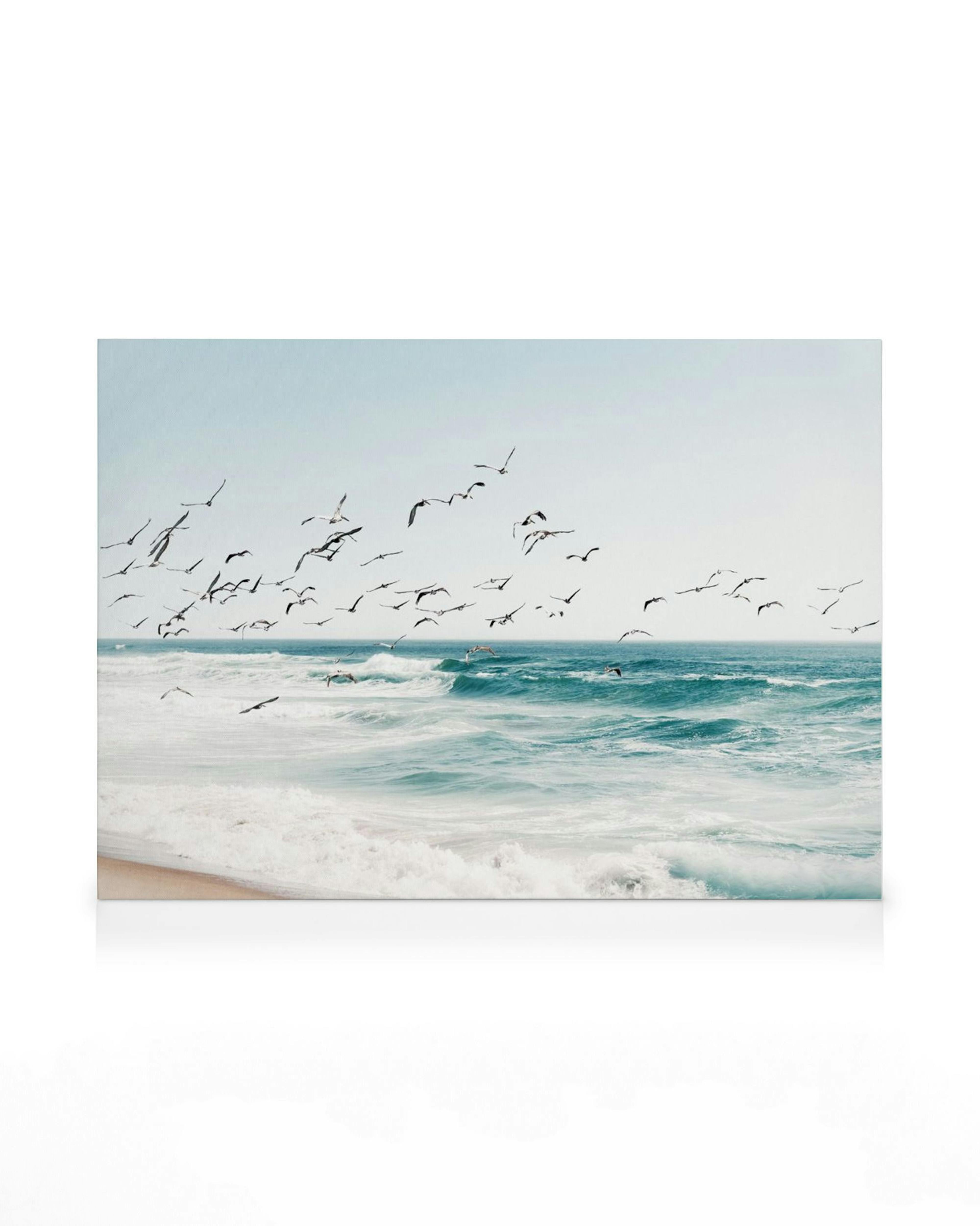 Flok af fugle flyver over azurblå havbølger nær stranden, himmel i bløde nuancer, naturbillede.