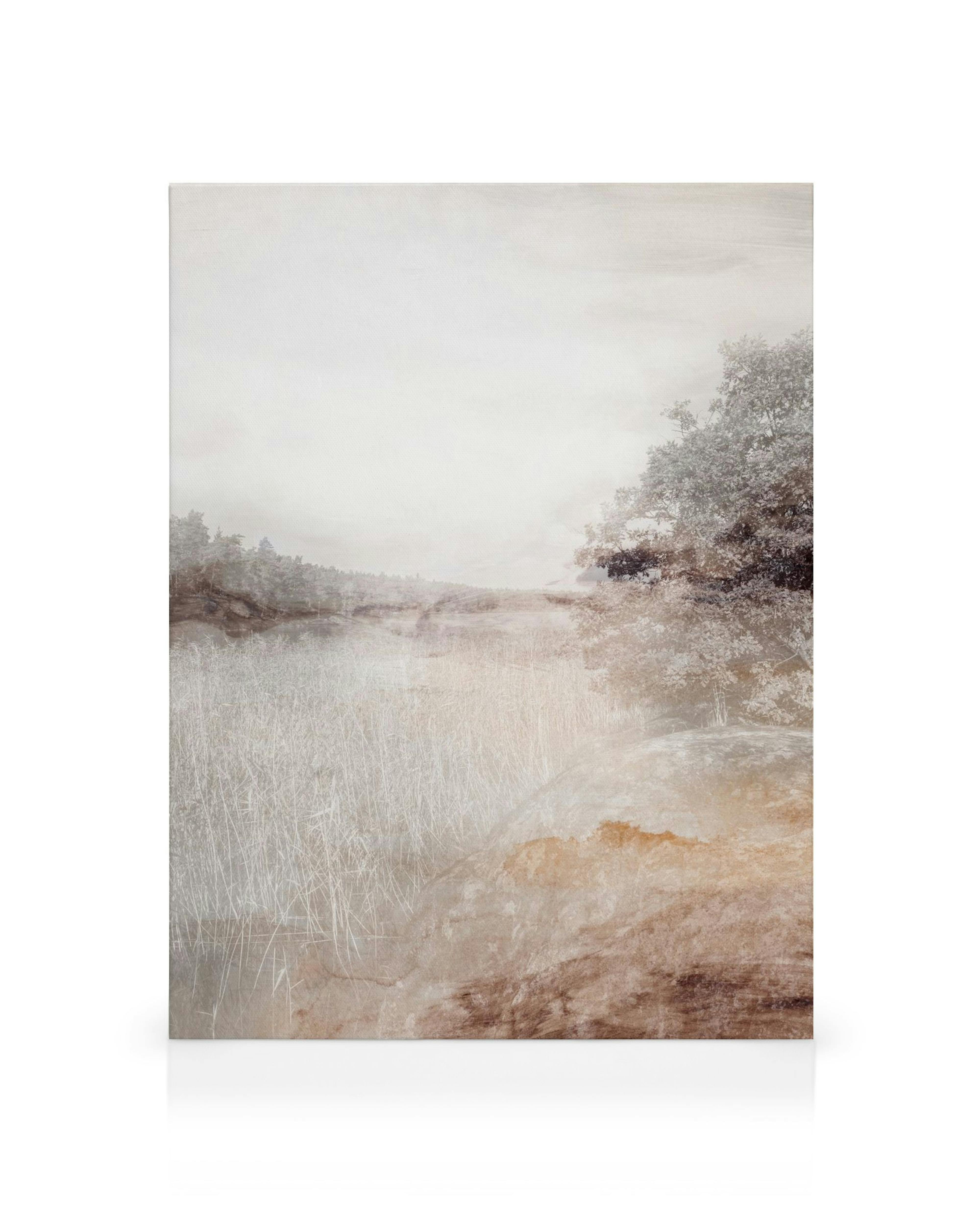 Κάμβας με θολό τοπίο φύσης, ανοιχτόχρωμα καφέ, γκρι και μπεζ χρώματα